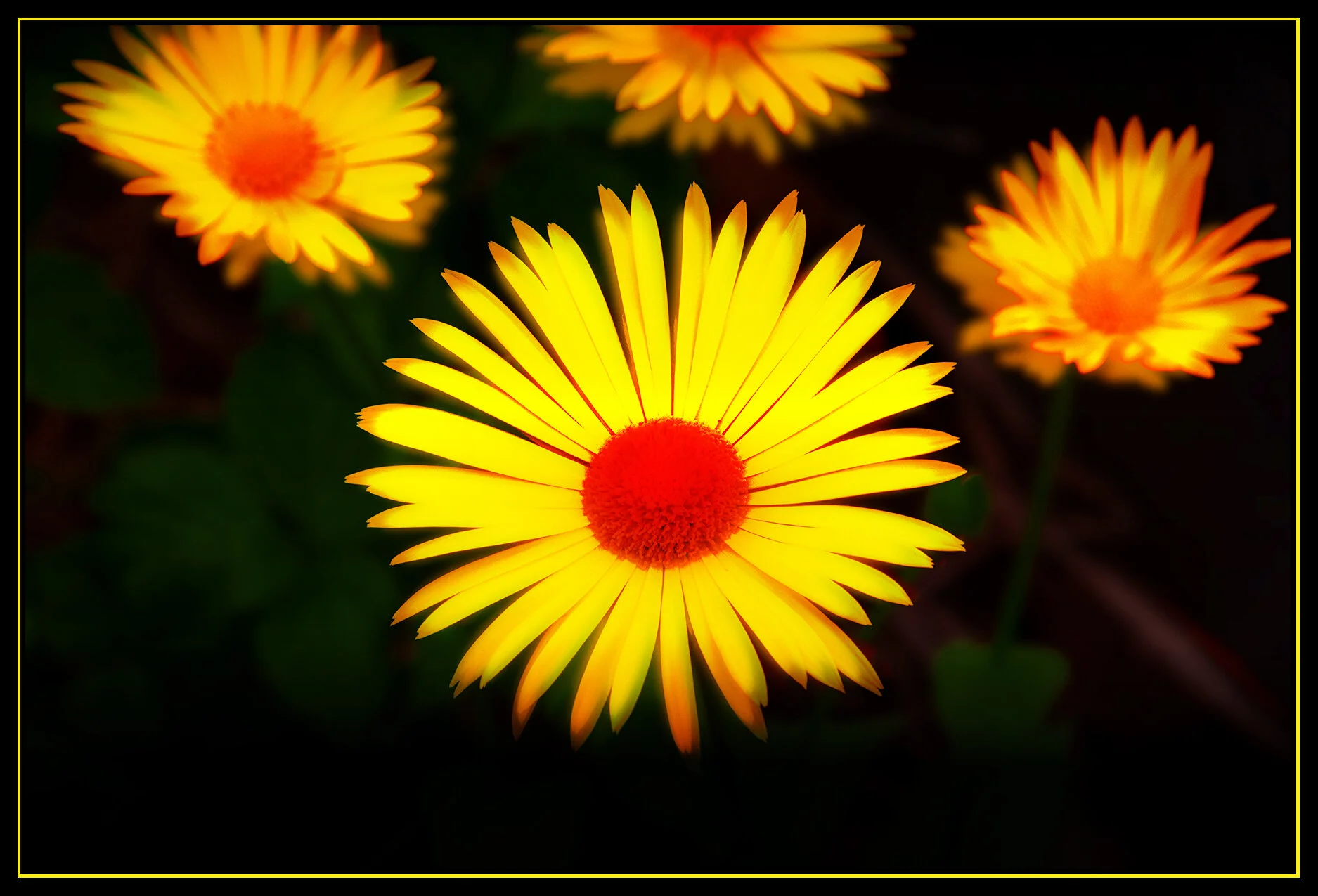Flowers_Apr 28_2020_CR2_3B4369_peGhostly_4x6_1.jpg