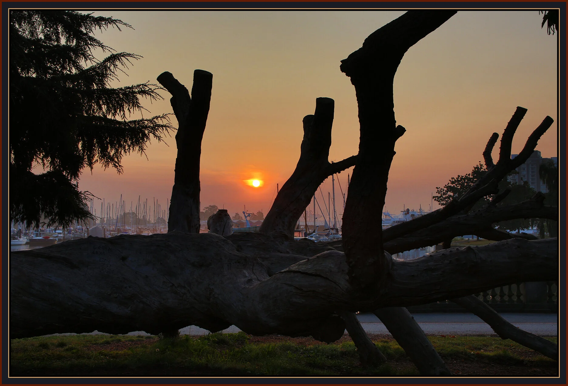 Coal Harbour Sunrise_Oct 2_2020_HDR_3B3797_4x6s.jpg