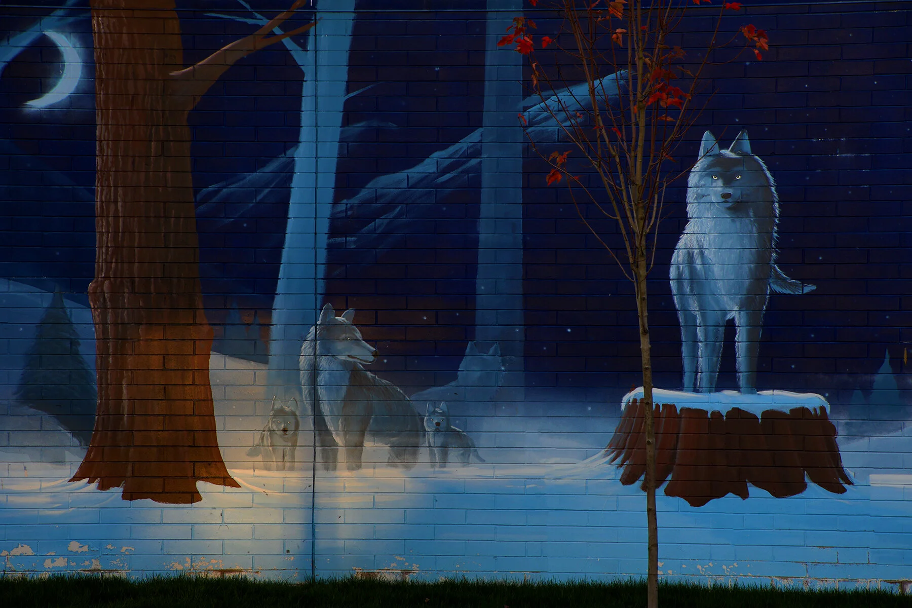 New Wesminster Mural_Oct 25_2020_HDR_4G9835_4x6.jpg