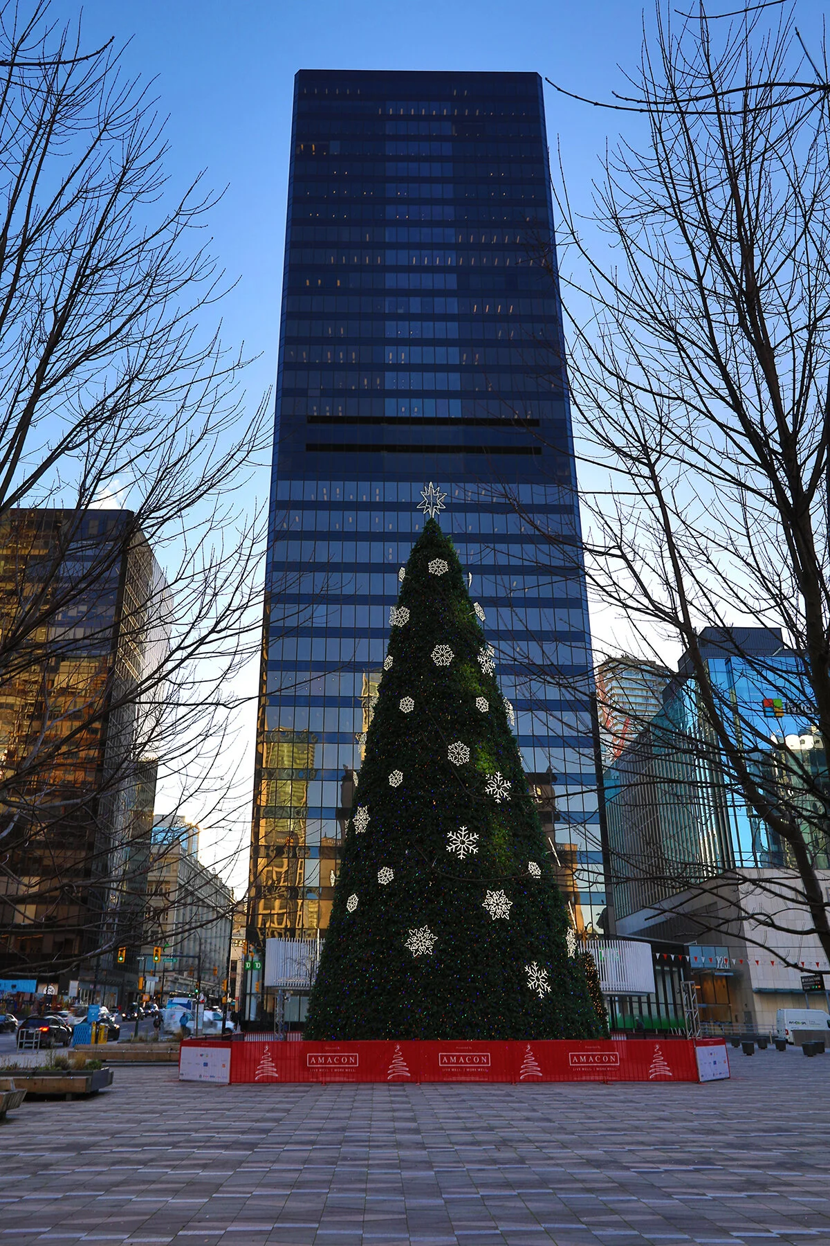 Art Gallery Xmas Tree_Dec 1_2020_HDR_4G8008_4x6.jpg