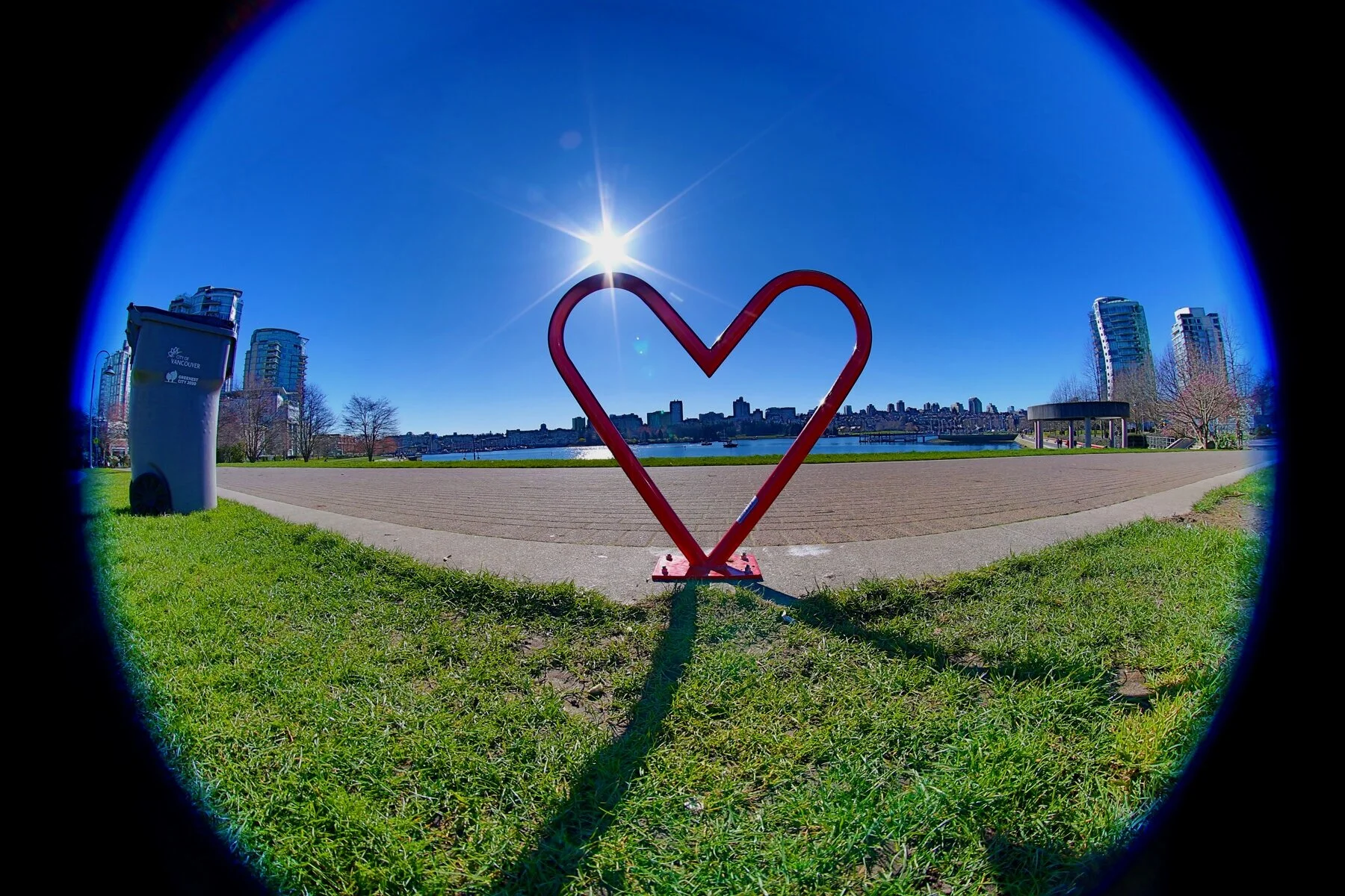 Heart+Bike+Rack_Feb+28_2015_HDR_F3564_4x6.jpg