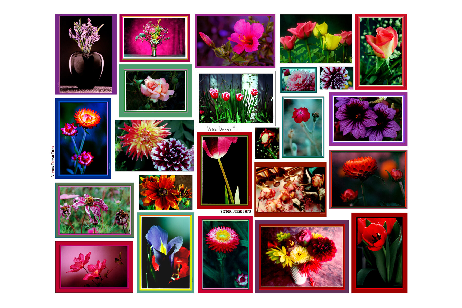 Flowers Comp_4x6.jpg