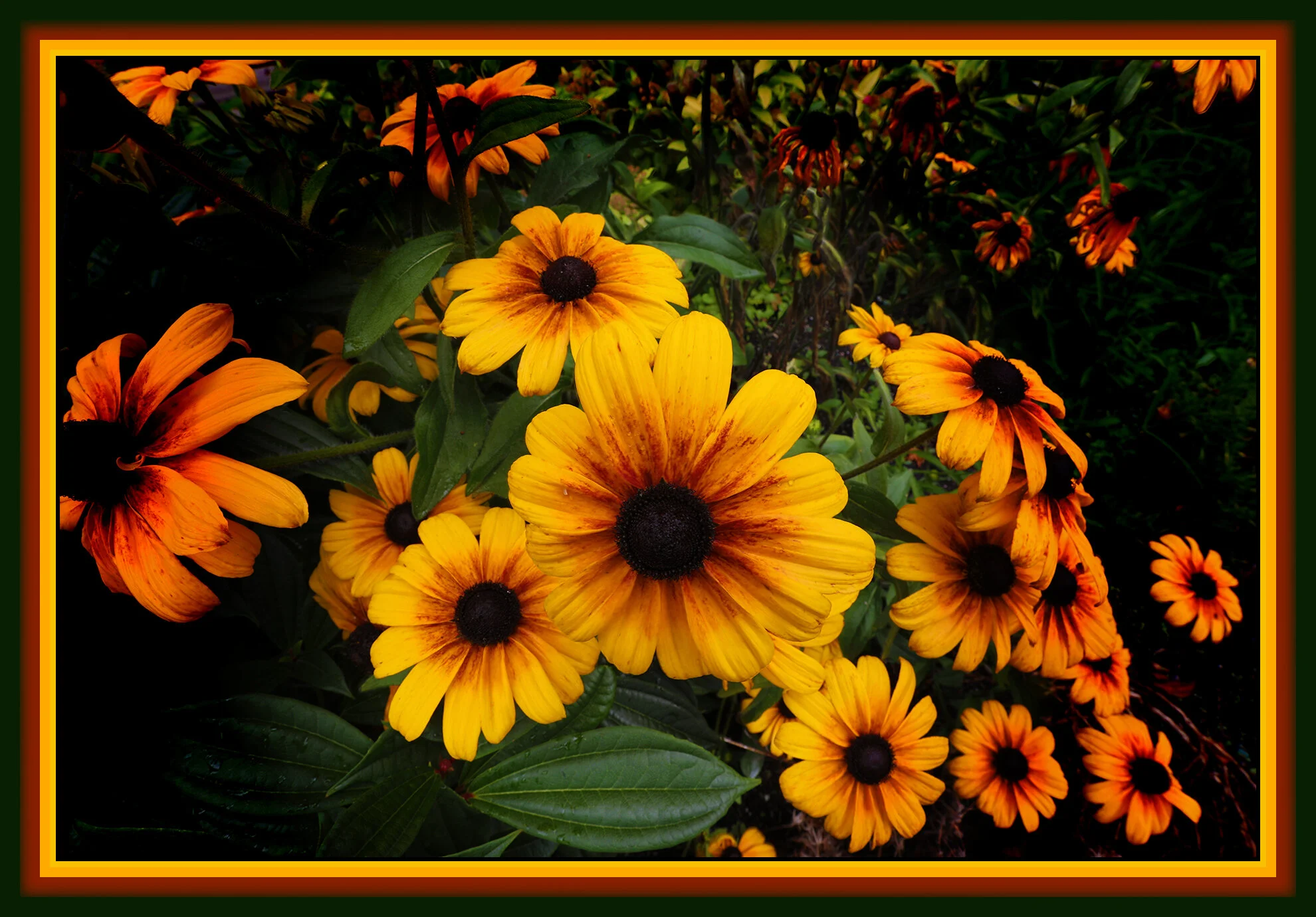 Flowers Lazy Susan_July 2_2019_HDR_E5061_peDecRadVig_4x6s.jpg