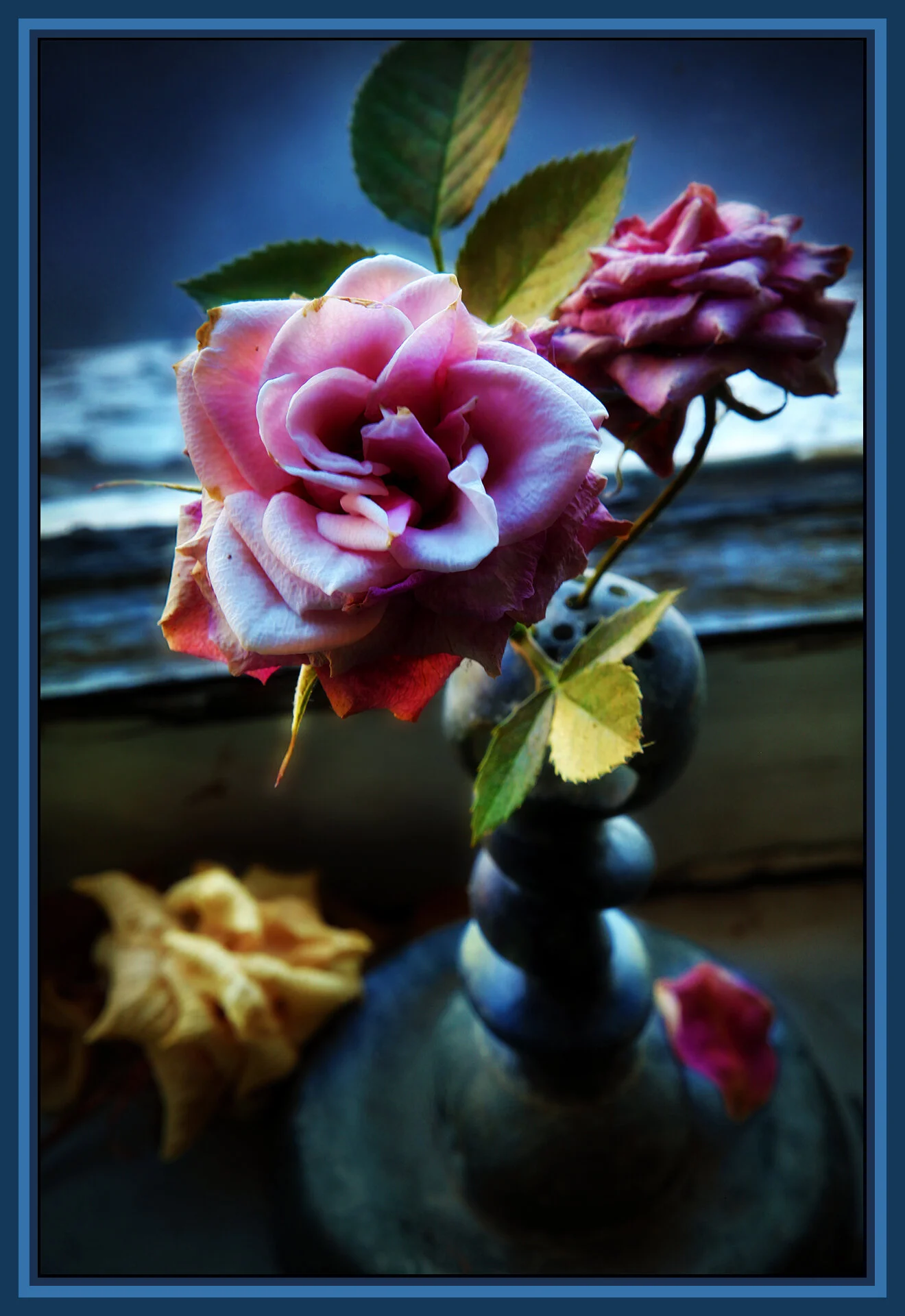 Flowers Rose_May 27_2019_HDR_A5774_peSat&Glo-IntnSunst_4x6s.jpg