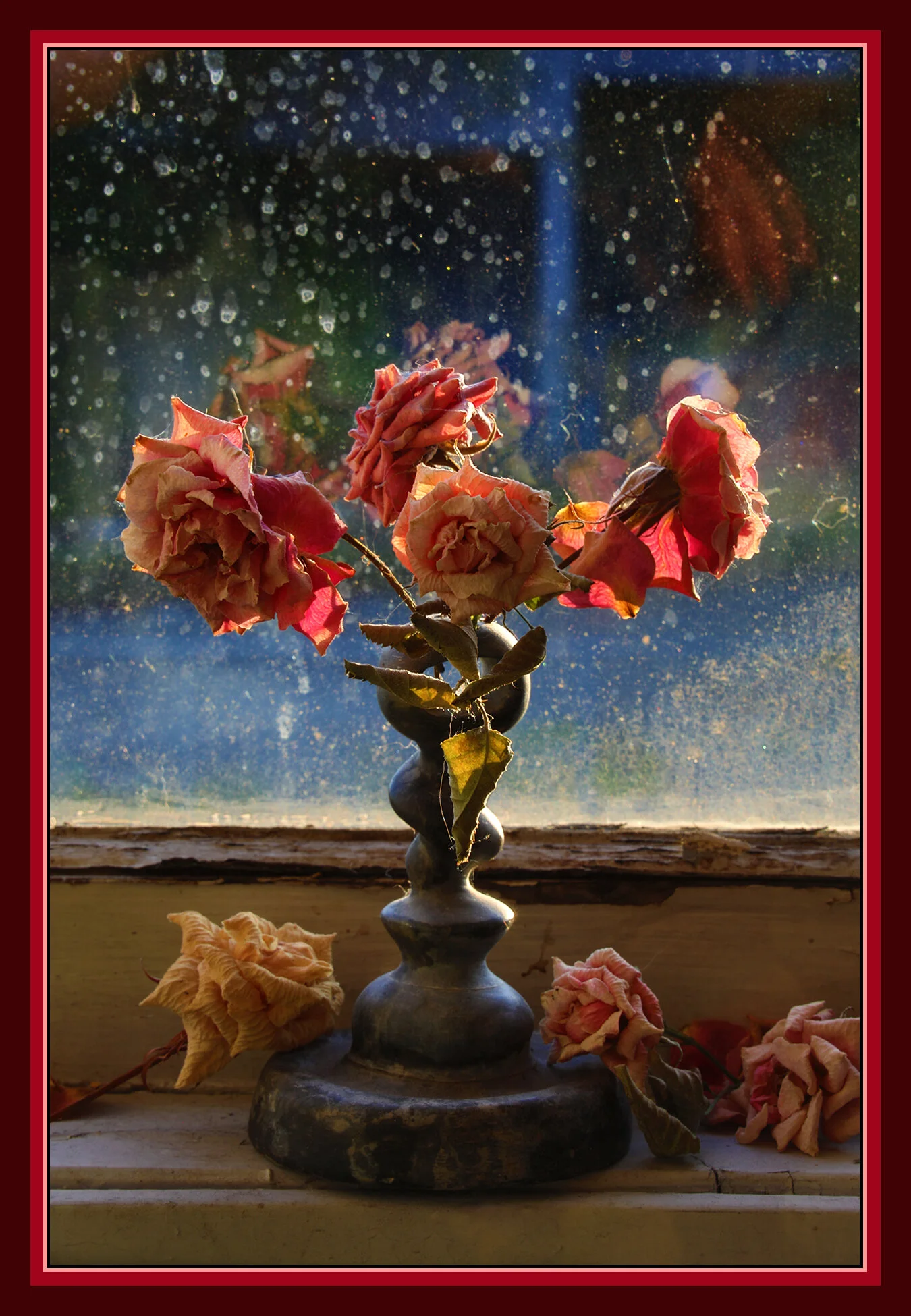 Flowers Roses_Jun 14_2019_HDR_E0576_4x6s_1.jpg