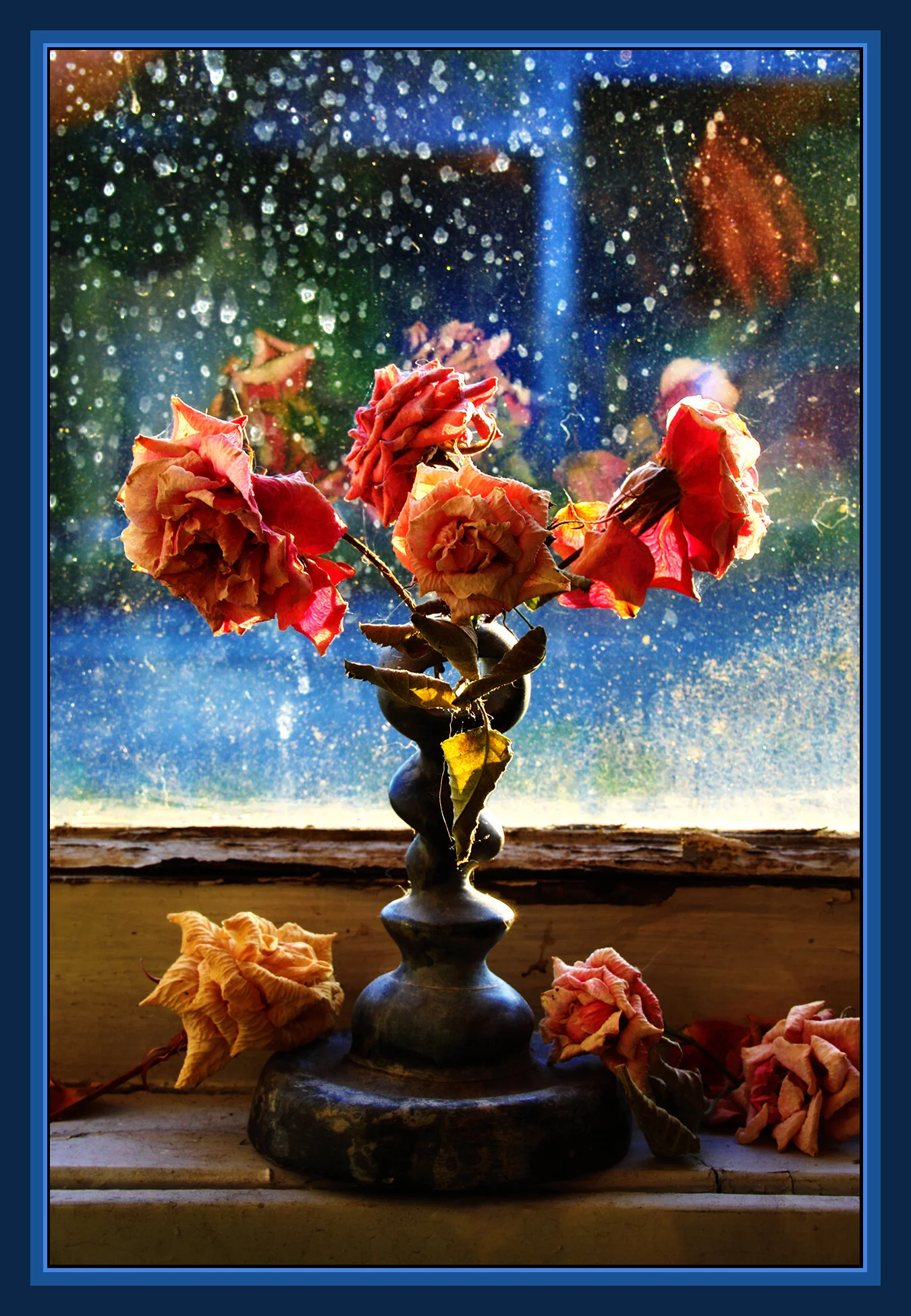 Flowers Roses_Jun 14_2019_HDR_E0576_peSmrtCnt_4x6s.jpg