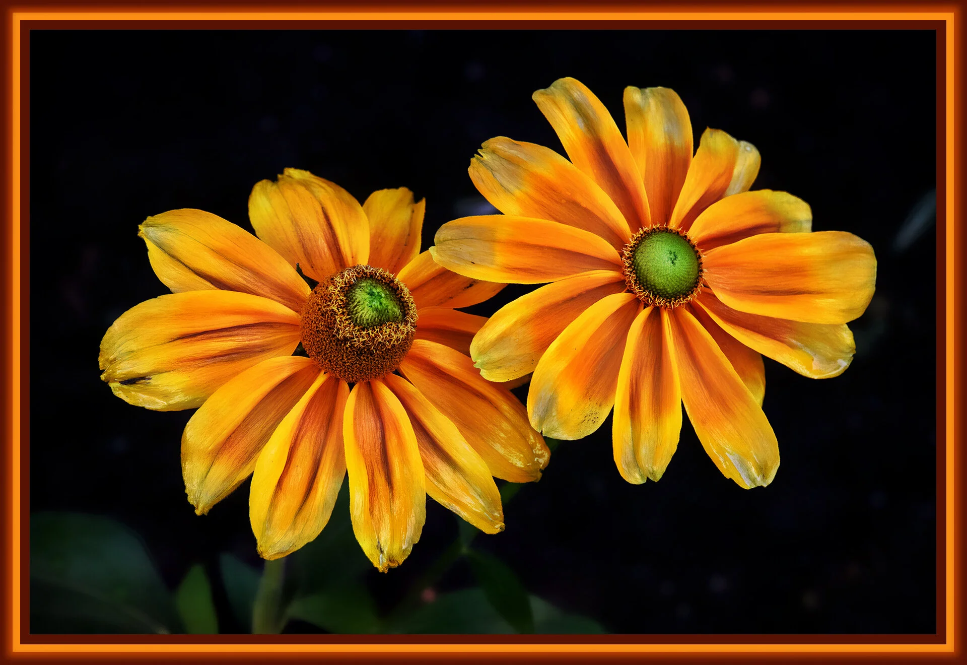 Flowers Rubiccana_Aug 13_2019_CR2_E6527_peGlow&_1_4x6s.jpg