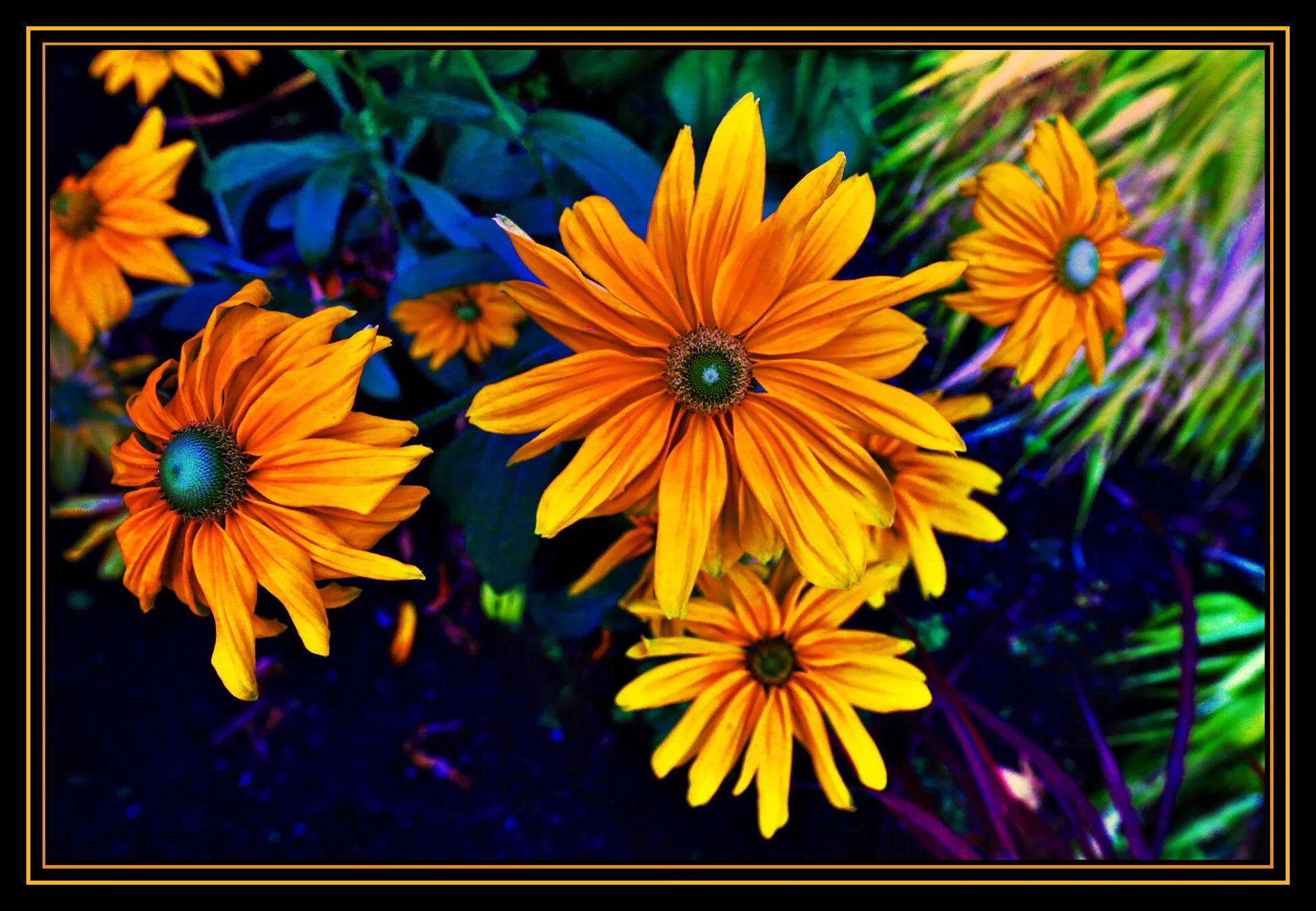 Flowers Vancouver_Oct 7_2019_HDR_F7338_peHypNud&ExqstTxt002&Evnglite_4x6s.jpg