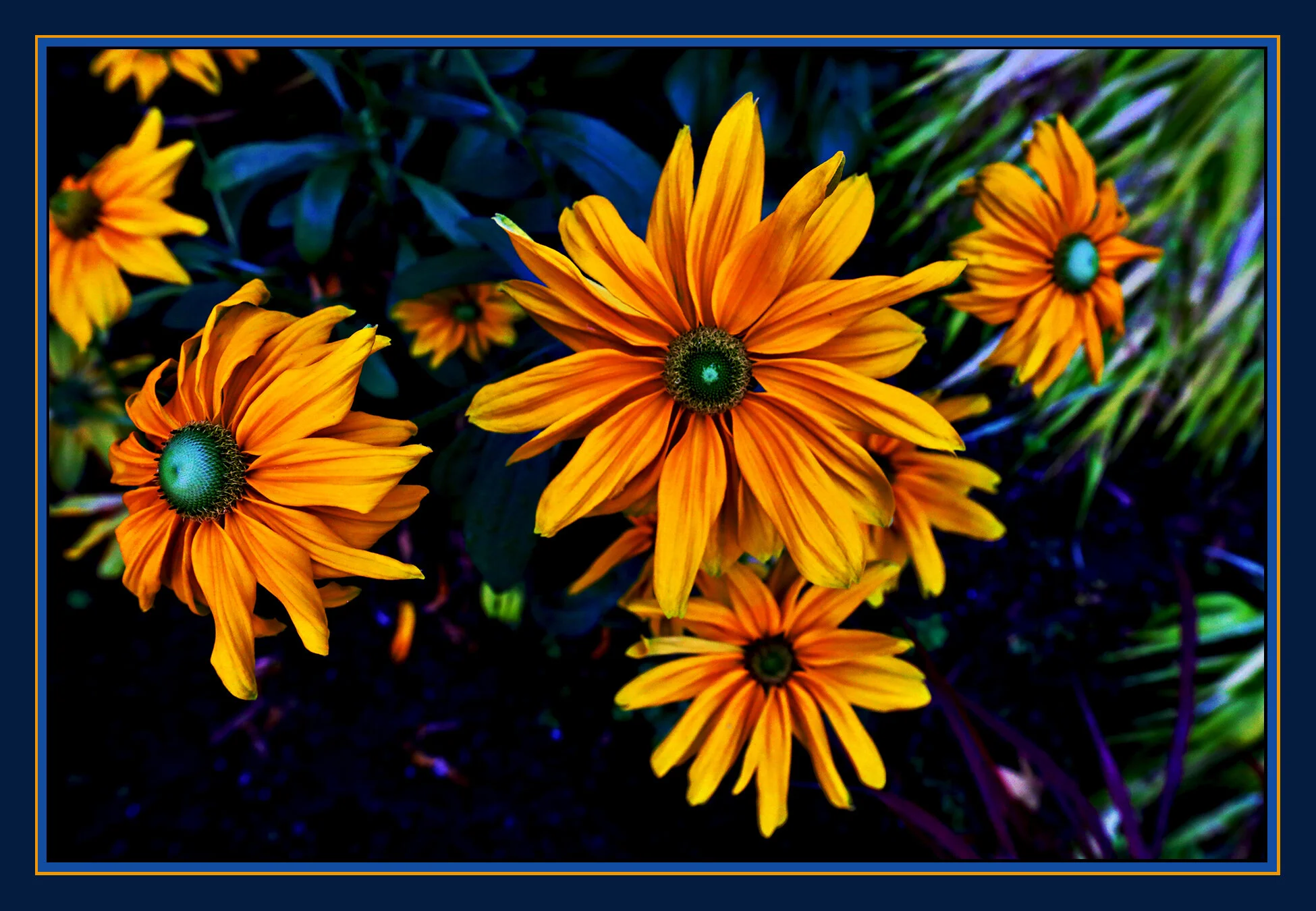 Flowers Vancouver_Oct 7_2019_HDR_F7338_peSaturate_4x6s.jpg
