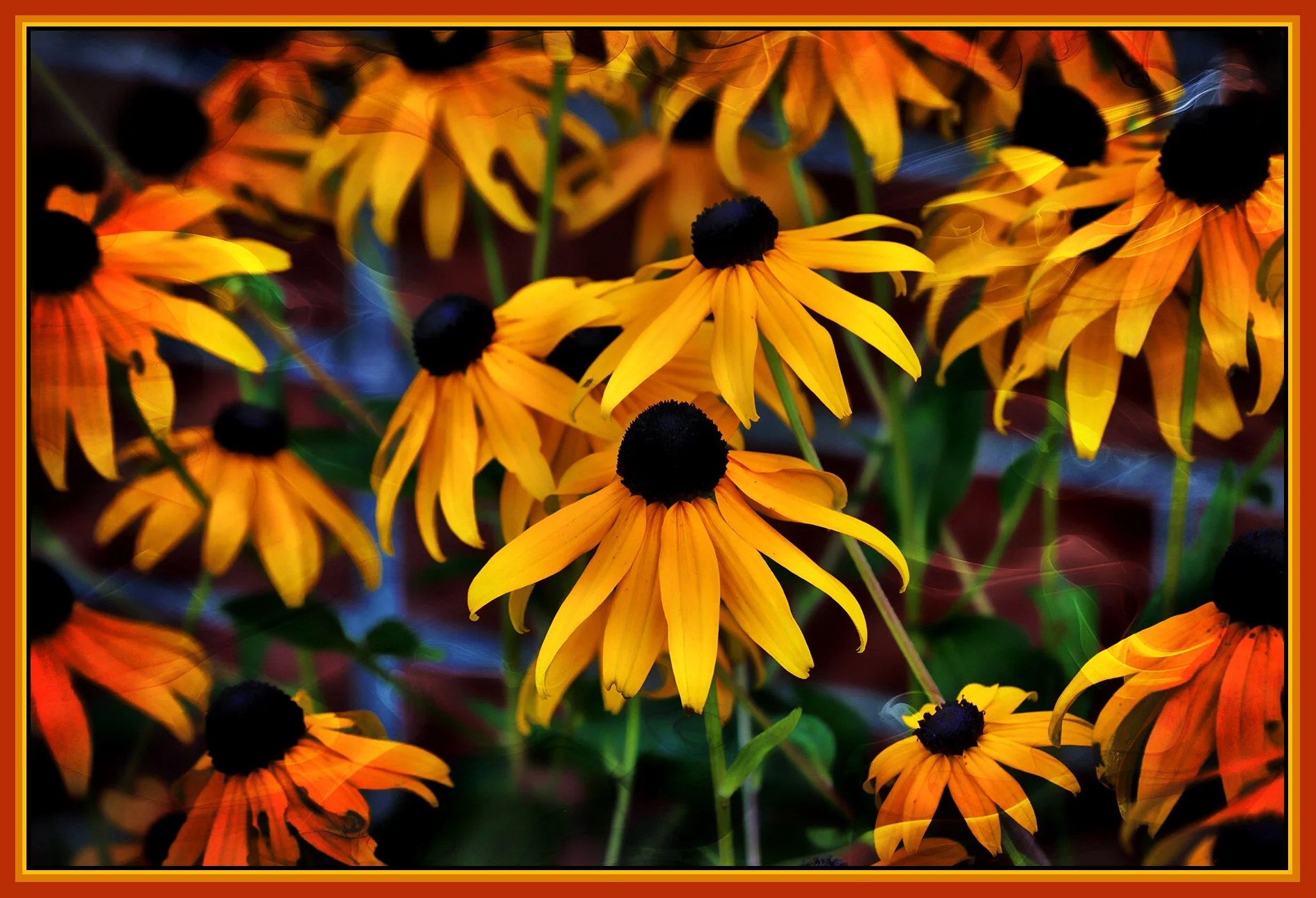 Flowers_Aug 13_2019_HDR_E6630_peVividMagc_4x6s.jpg
