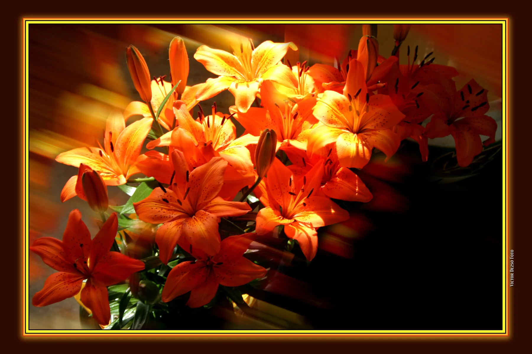 Flowers_1030_2_4x6.jpg