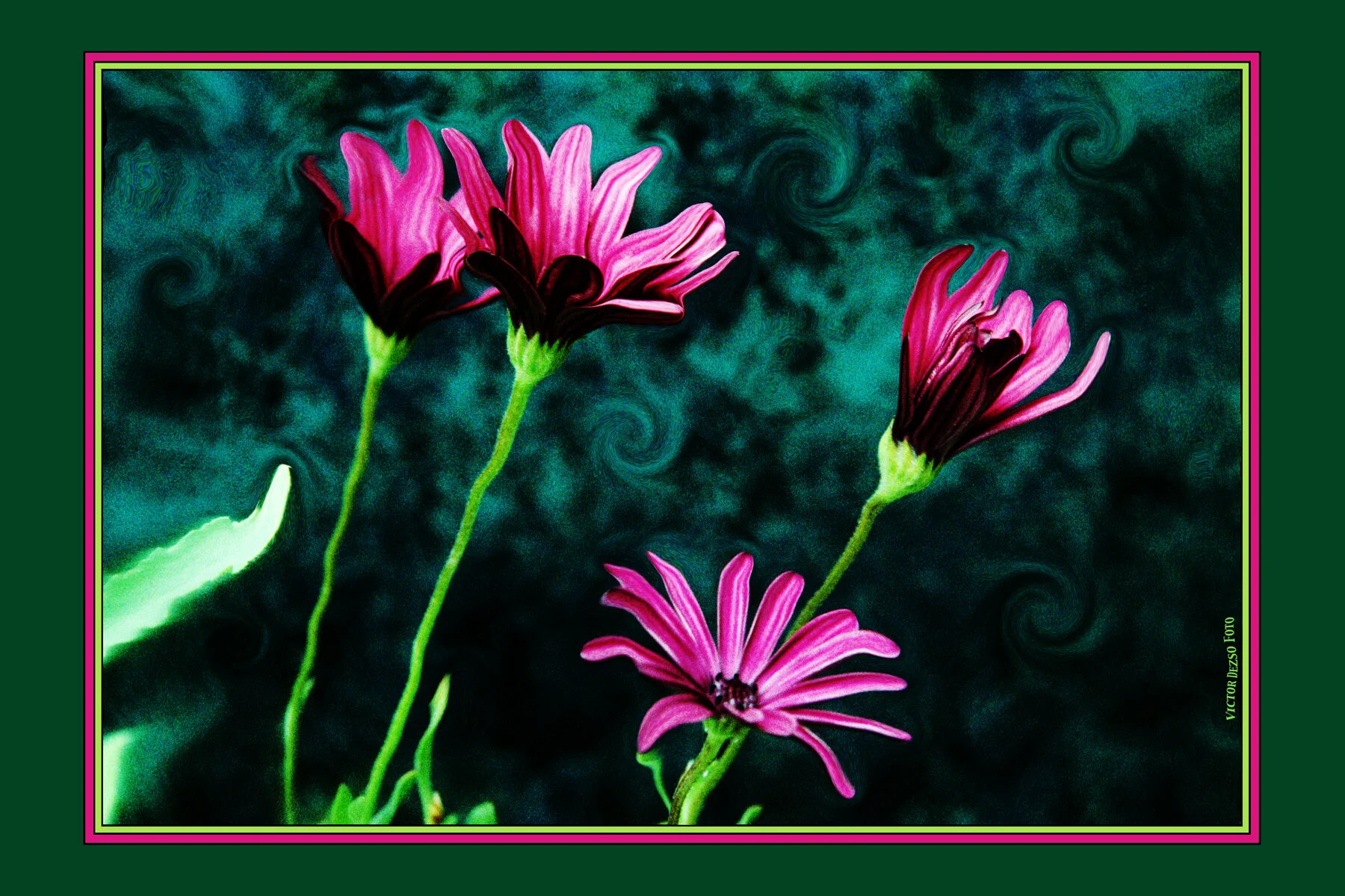 Flowers_6_2_98-10-2_4x6.jpg