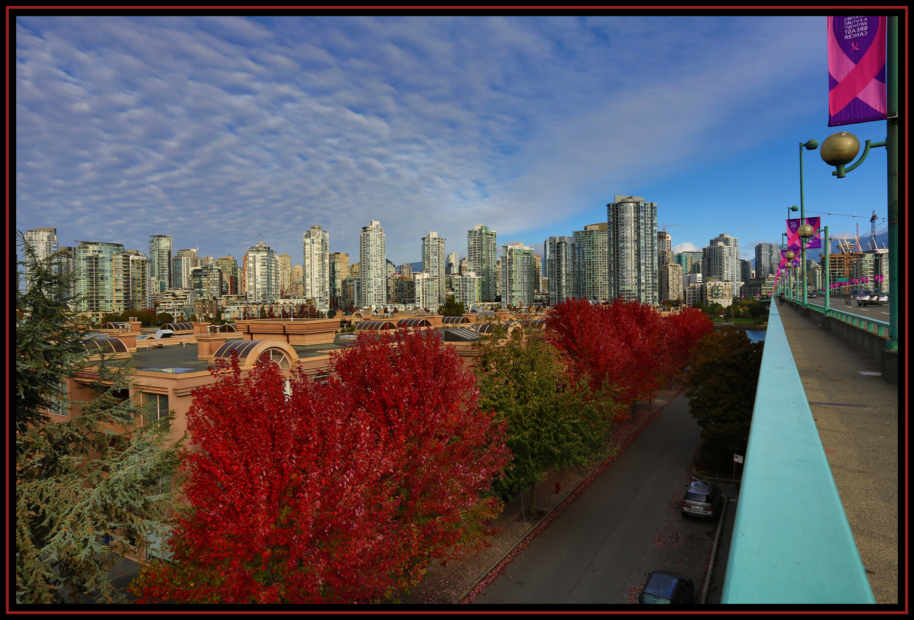 Cambie Bg LkgNW Trees_Oct 11_2015_HDR_H3919_4x6s.jpg