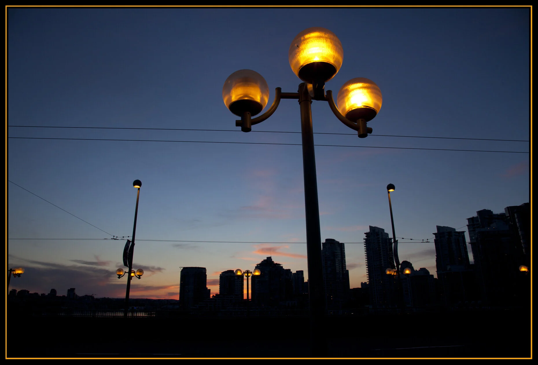 CambieBgLkgNW_Mar 19_2011_7835_4x6s.jpg