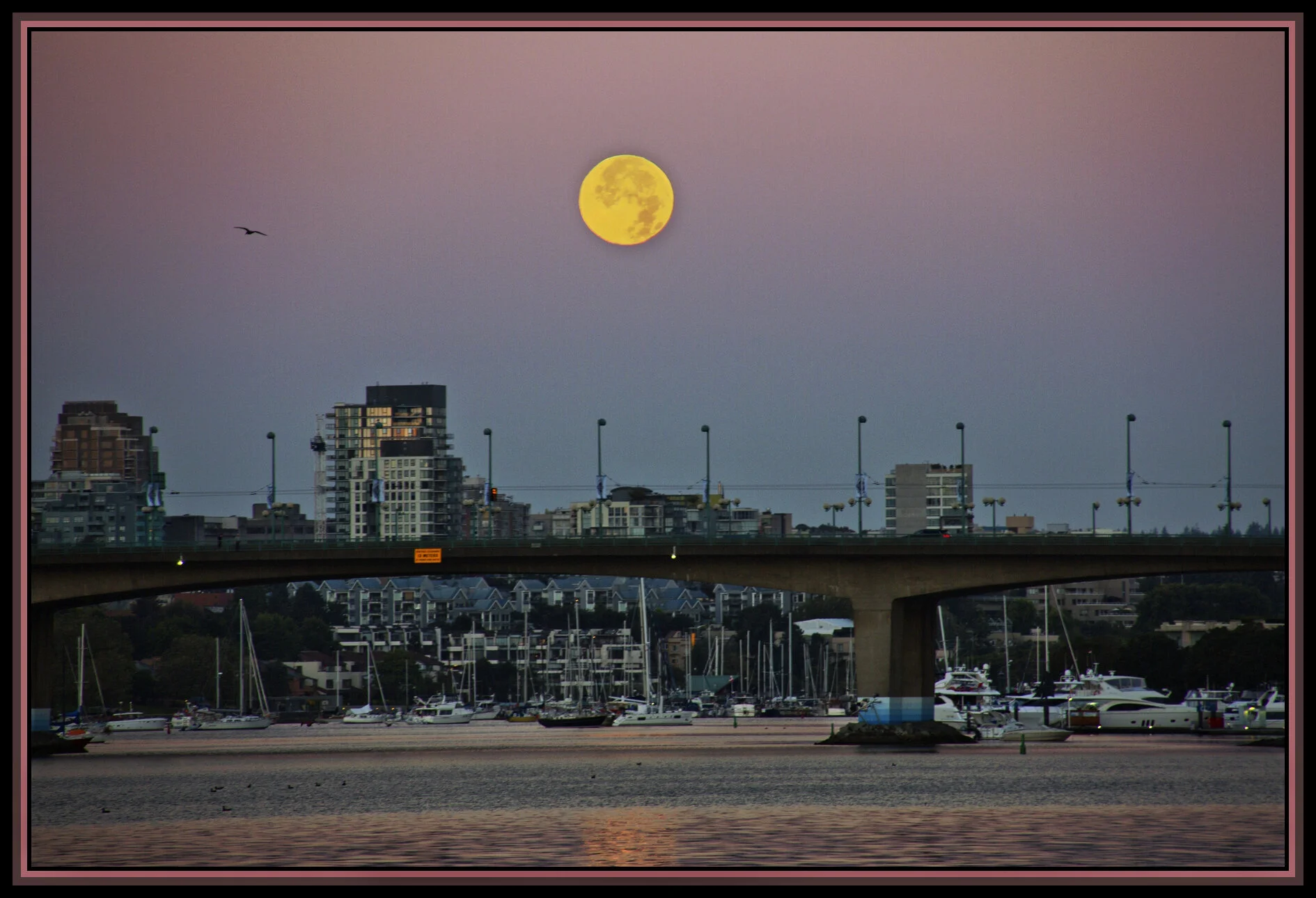 Full Moon Cambie Bg_Vancouver_Aug 18_2016_L2906_peNew_4x6s.jpg