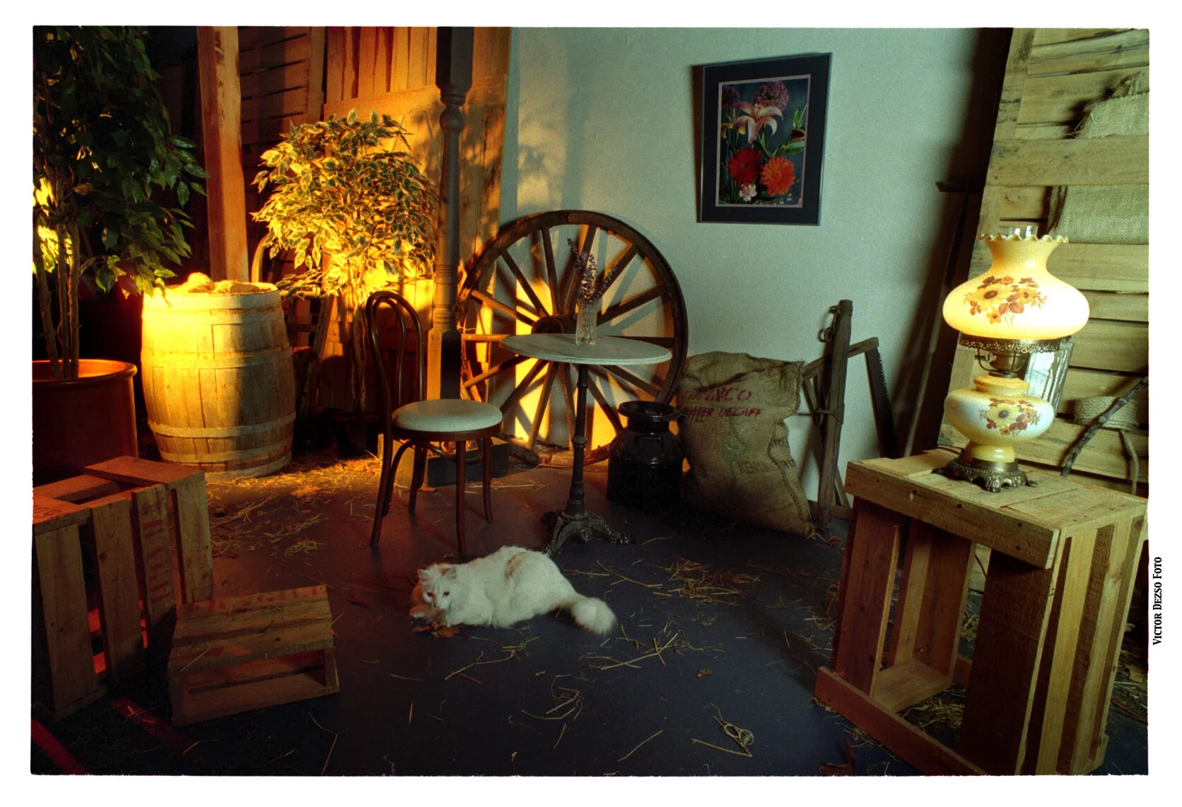2741 Skeena St Studio & Beau_4x6s.jpg