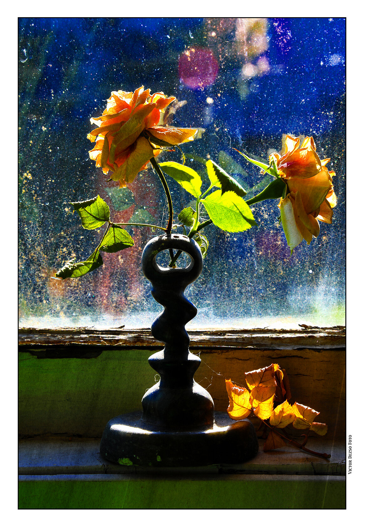 Flowers Roses_Jun 9_2018_HDR_C5660_peArtMedia004_4x6s.jpg