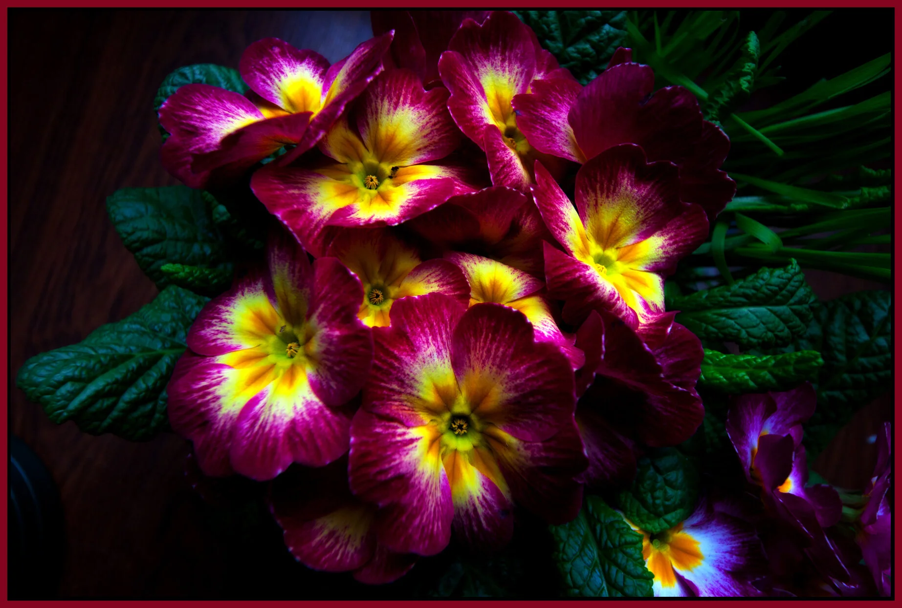 Flowers_Feb 28_2013_9813v_4x6s.jpg