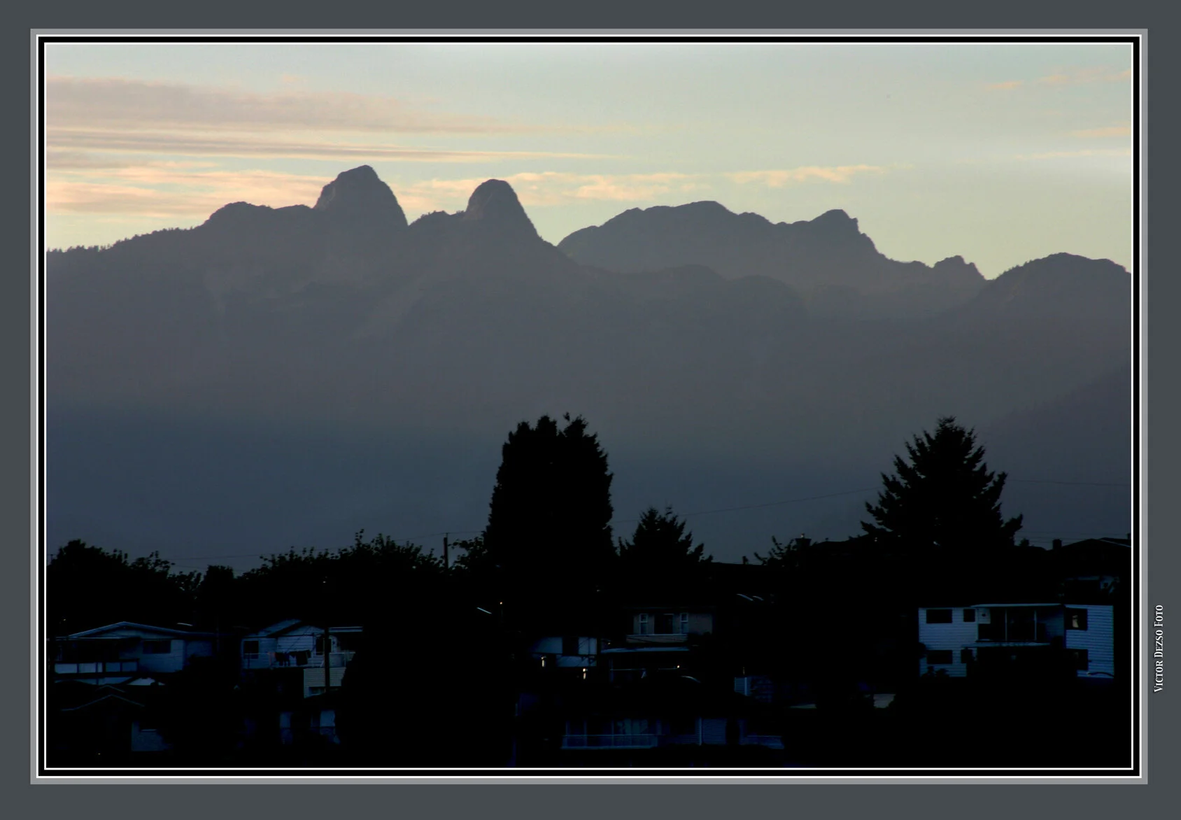 Lions Ears_Aug 22_2005_8038_4x6s.jpg
