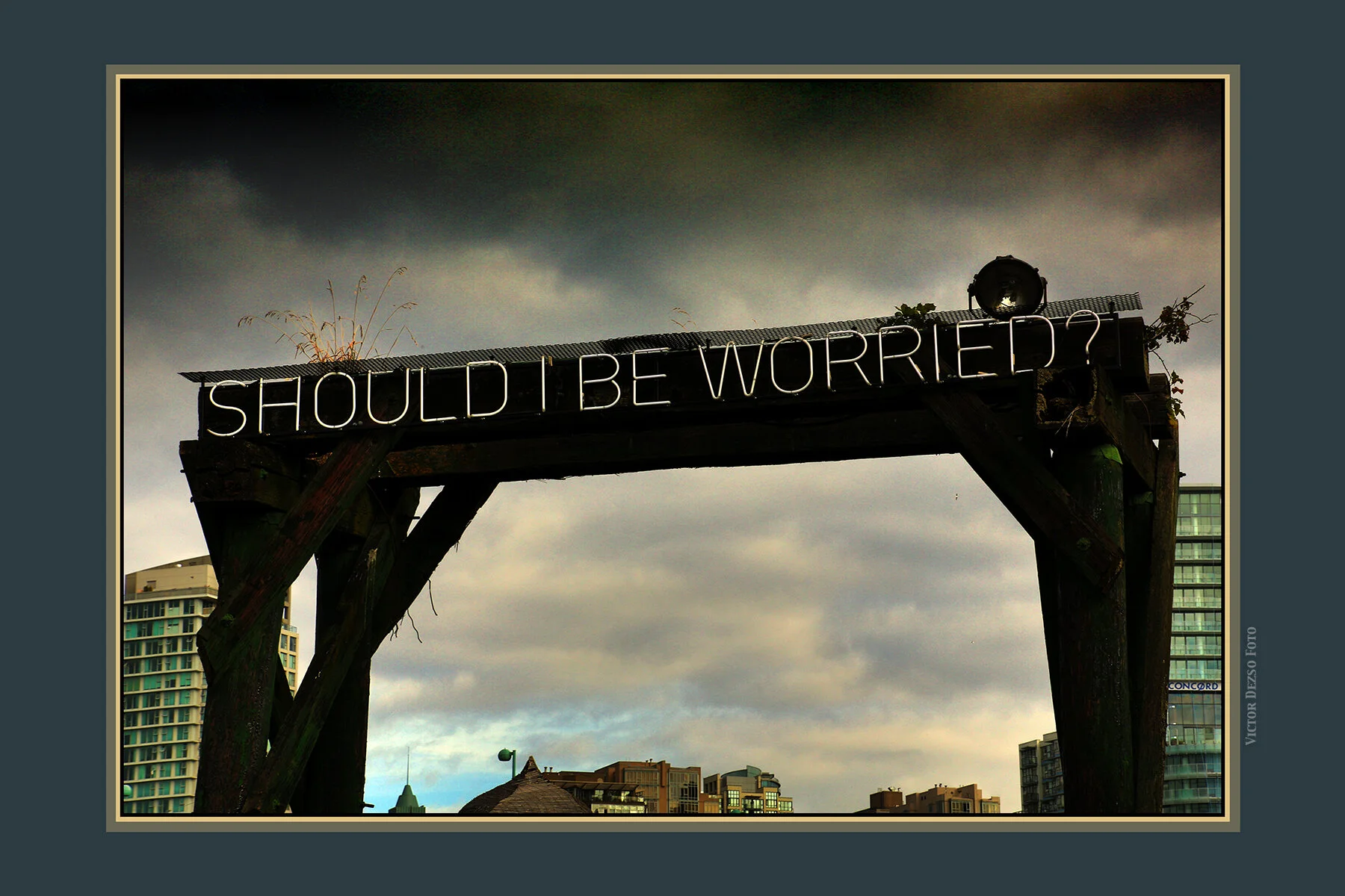 Should I Be Worried_Aug 19_2019_HDR_A8805_peDdL_4x6ss.jpg