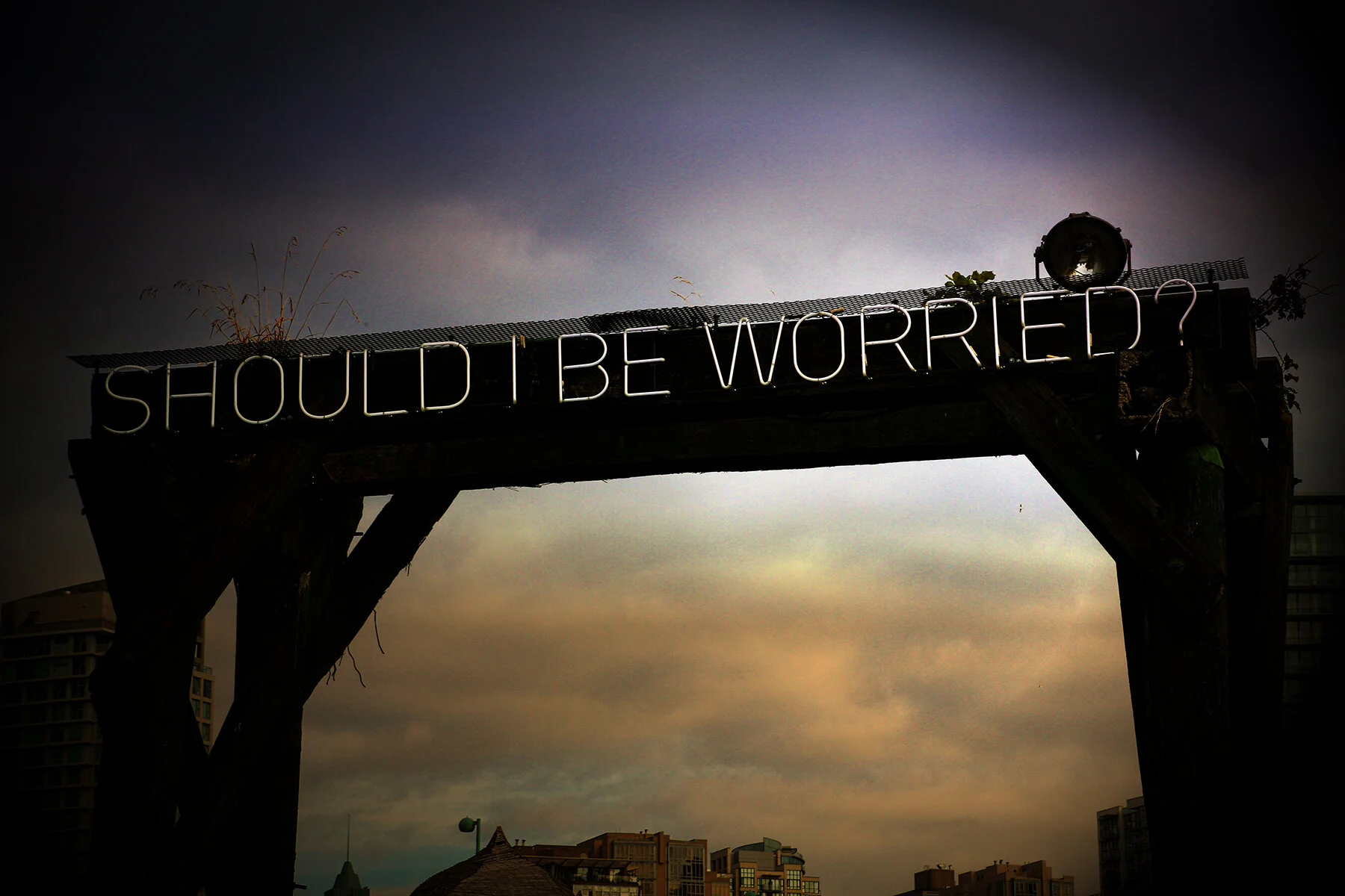 Should I Be Worried_Aug 19_2019_HDR_A8805_peIntnSunst_4x6.jpg