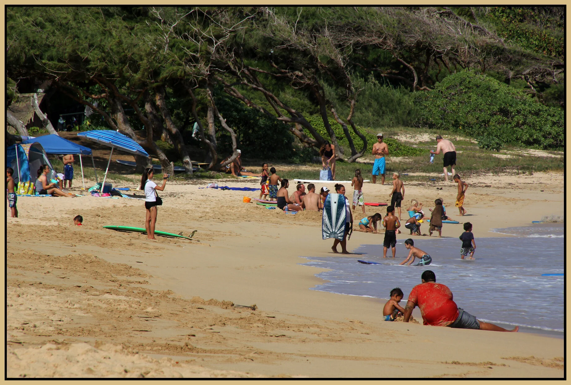 Hawaii North Shore_Nov 23 2012_4060_4x6s.jpg