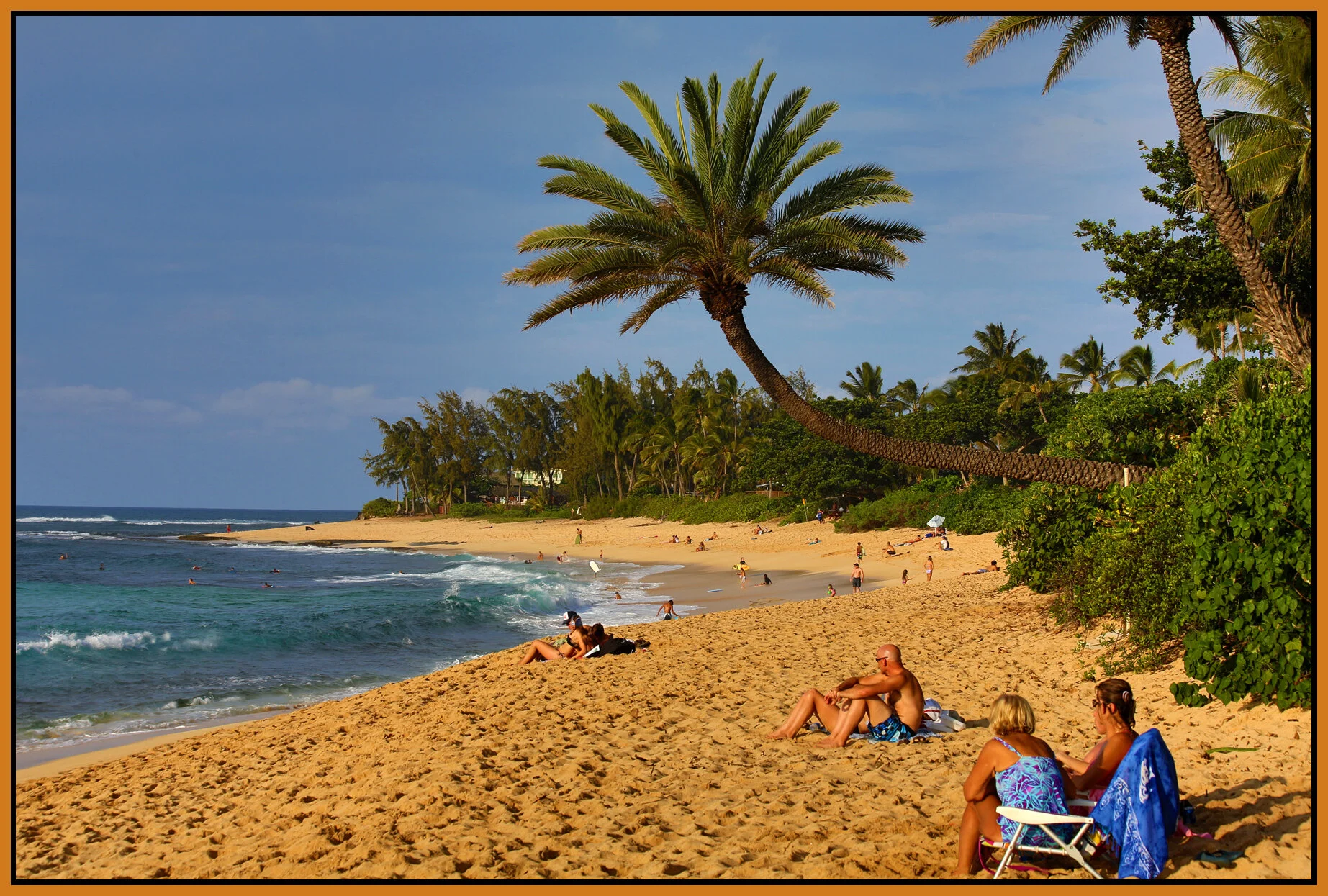 Hawaii North Shore_Nov 23 2012_C8978_4x6s.jpg