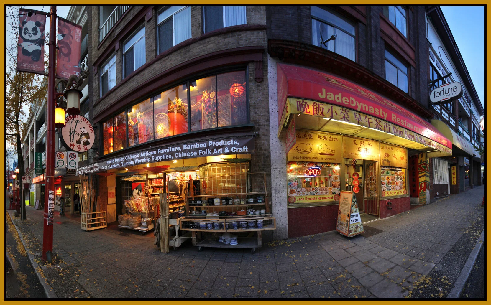 Chinatown_Nov 14_2011_Pan_2172_4x6_1s.jpg