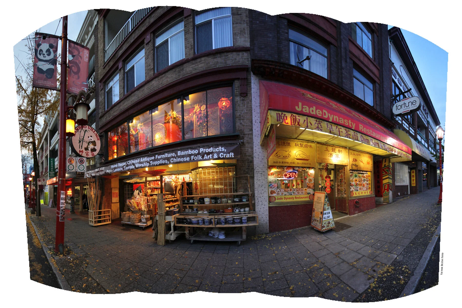 Chinatown_Nov 14_2011_Pan_2172_4x6s.jpg