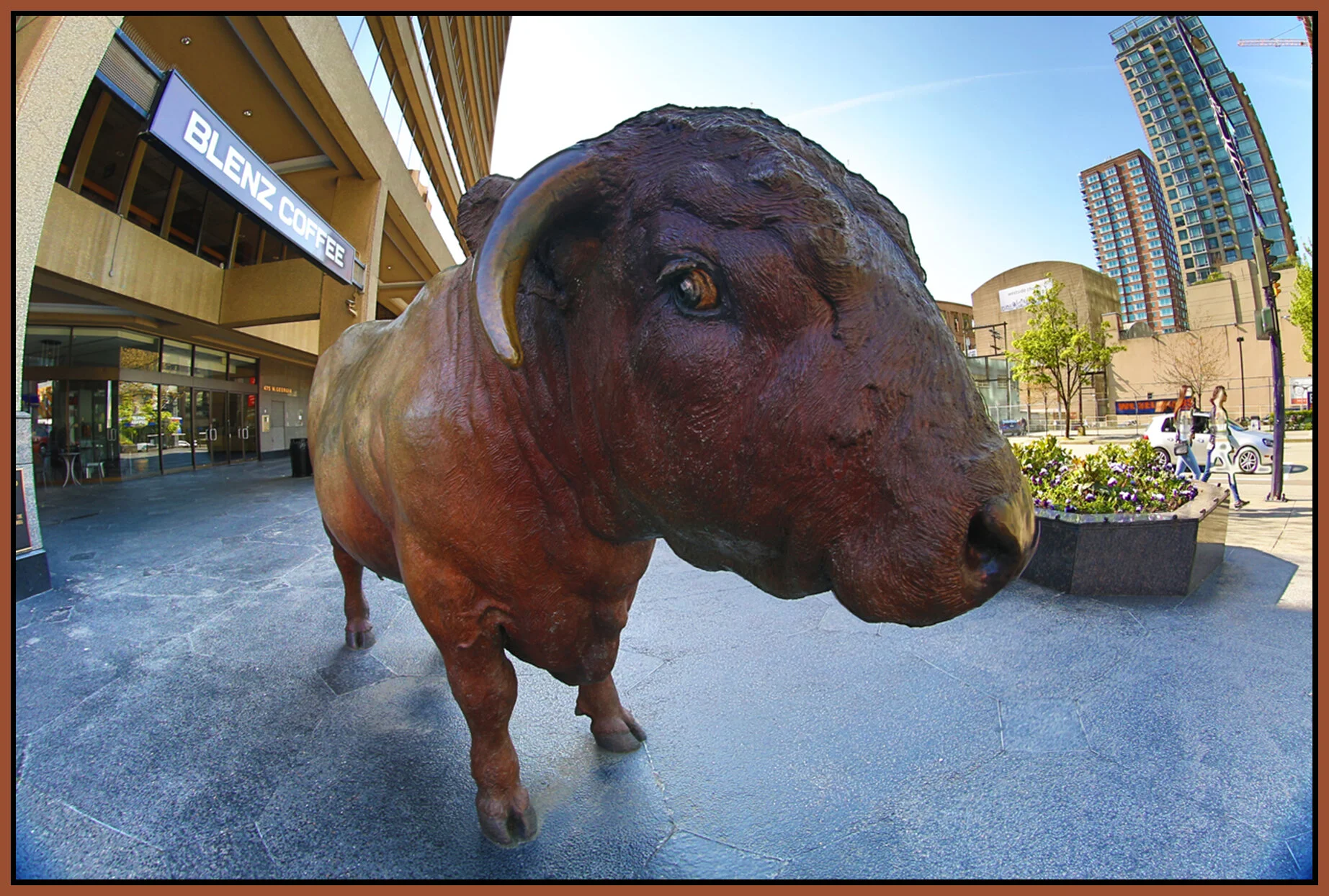 Bull on Georgia_Apr 18_2015_HDR_F3951_4x6_1s.jpg