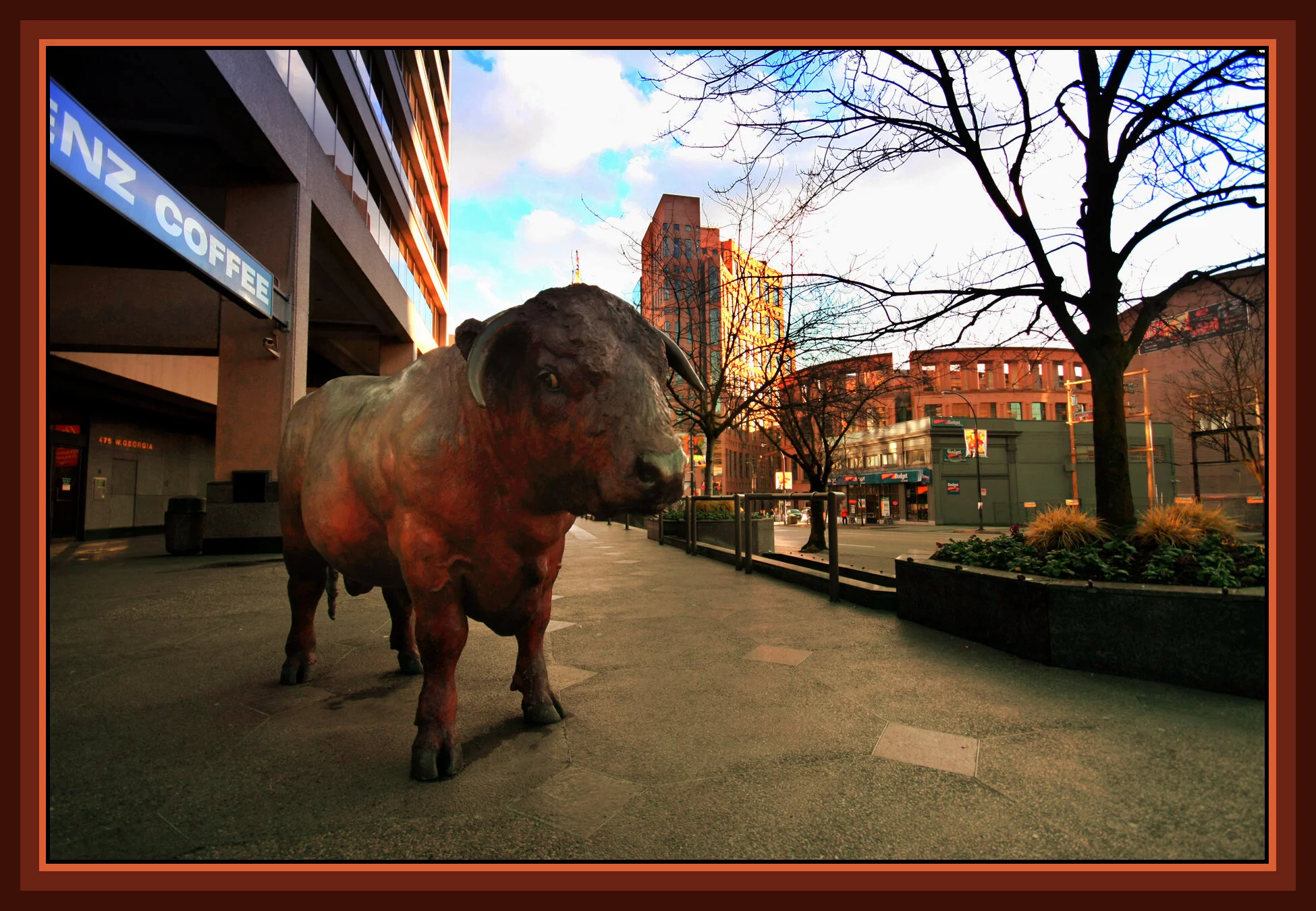 Downtown Bull Dec 07_0283_peWarm-Cool_4x6s.jpg