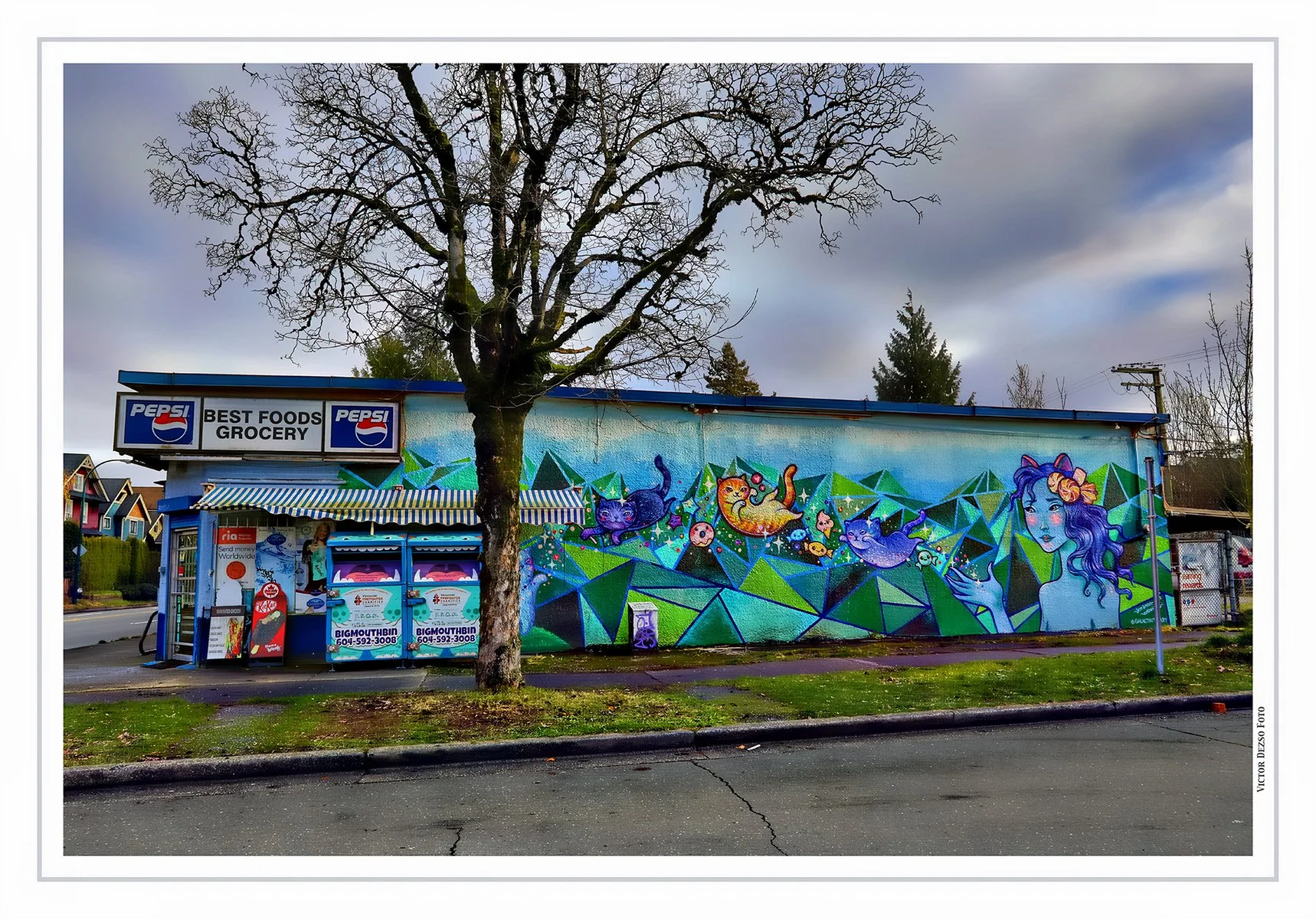 Best Foods Groc on Windsor Mural_Dec 15_2021_HDR_5A2699_peHdr2013_4x6.jpg