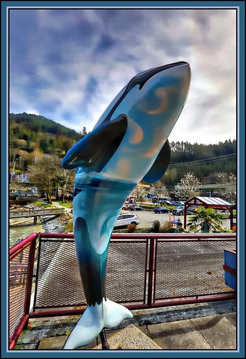 Dolpin+in+Horseshoe+Bay_Apr+2_2019_HDR_E9839_peHdr2013_1_4x6s.jpg