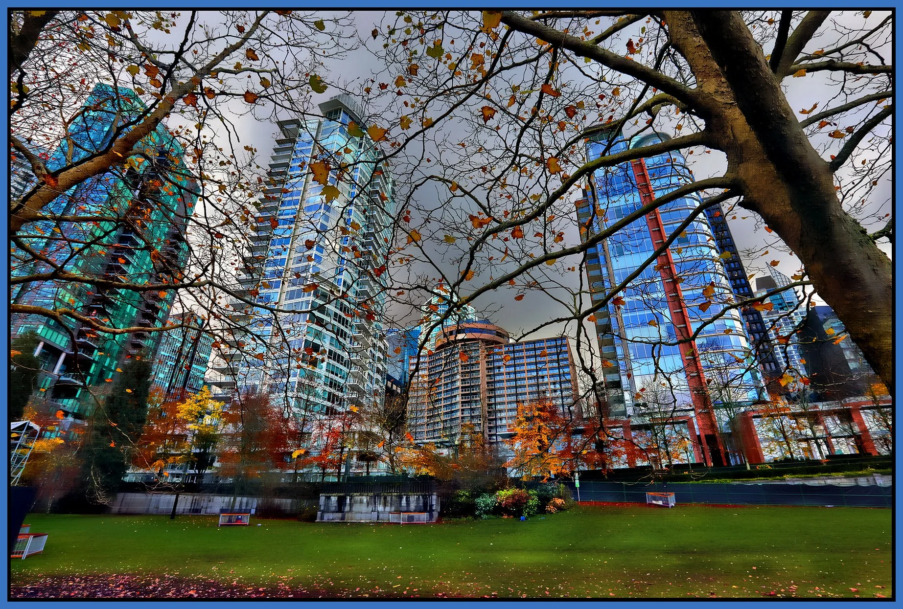 Harbour Green Park Trees LkgS_Nov 15_2024_HDR_5E5010_peHdr2013_1_4x6s.jpg