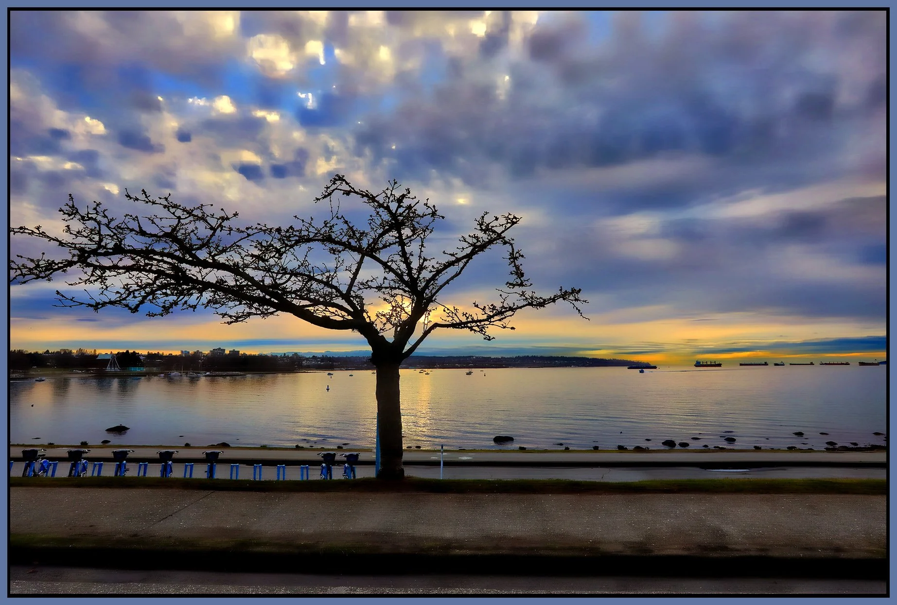 English Bay Tree_Feb 9_2023_HDR_5D3638_peHdr2013_1_4x6s.jpg