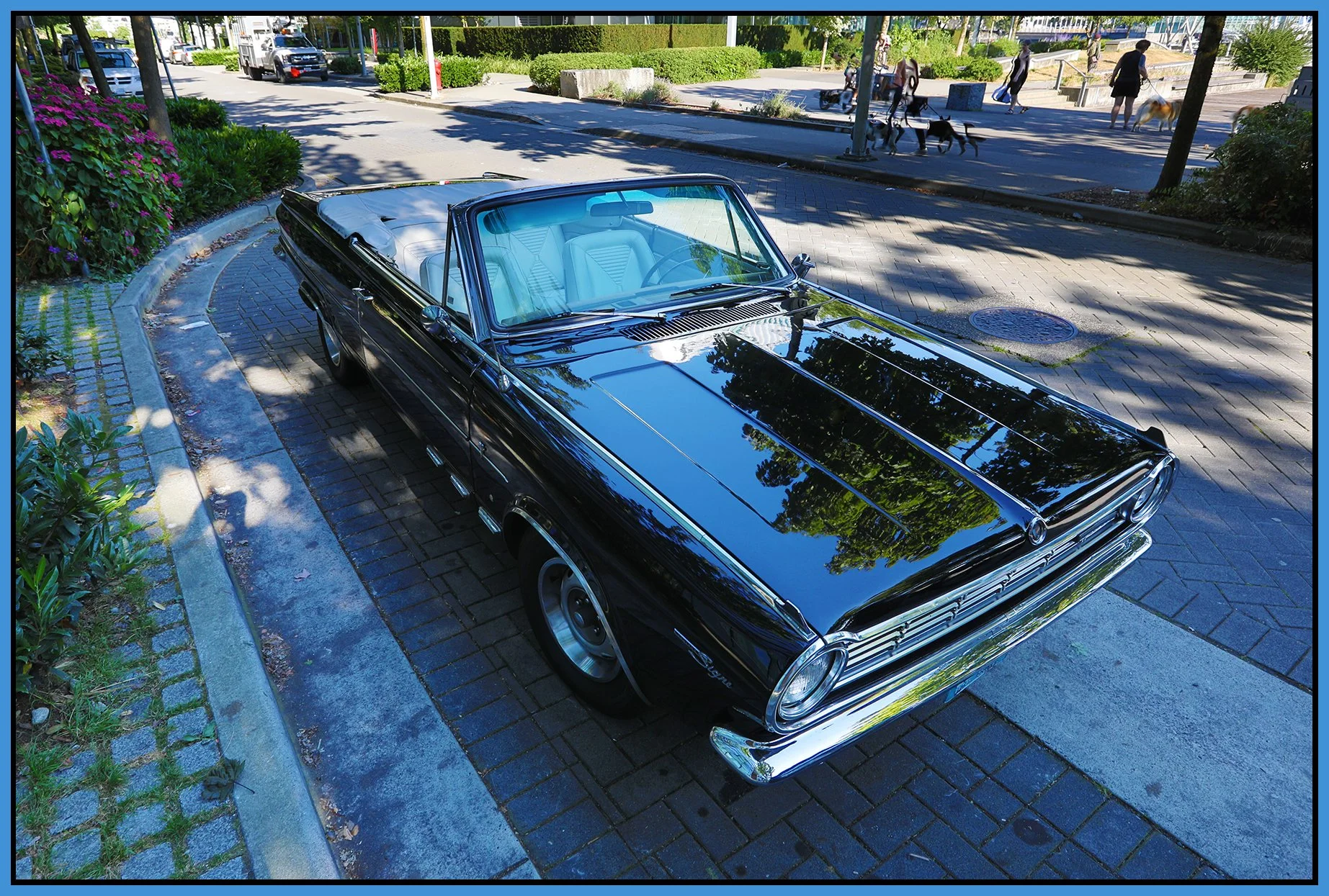 Valiant Signet_Jul 27_2022_HDR_5B3274_4x6s.jpg