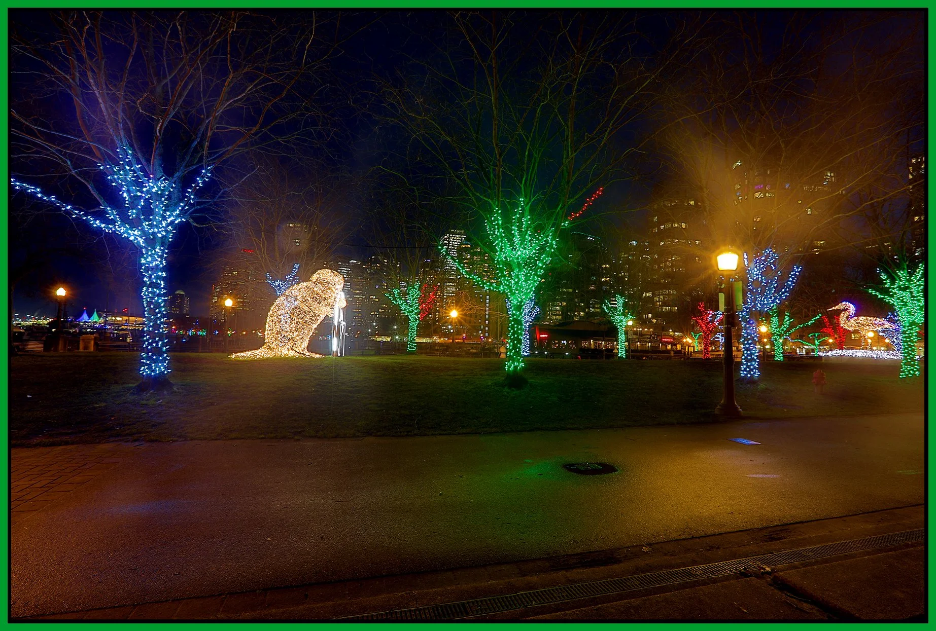 Cardero Park Art_Jan 8_2025_HDR_5E7529_4x6s.jpg