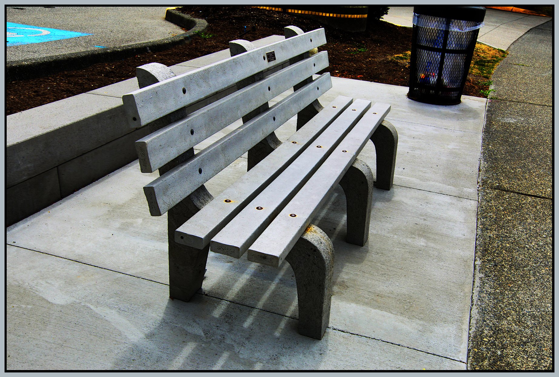 Bench in Richmond_Jul 9_2026_HDR_4L6556_peContrst_4x6s.jpg