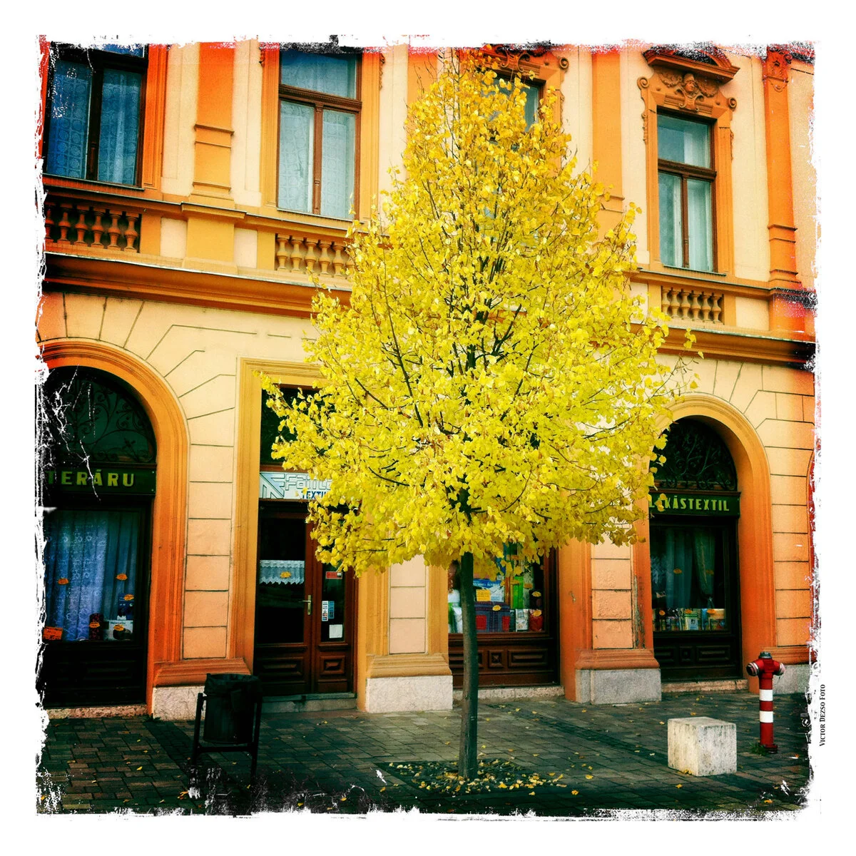 Vác_Oct 26_2011_0855_4x4.jpg