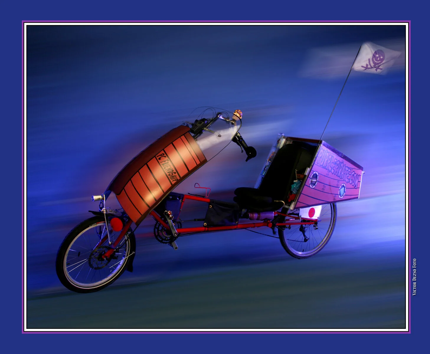 Purple Pirate Mobile_2_4x5s.jpg