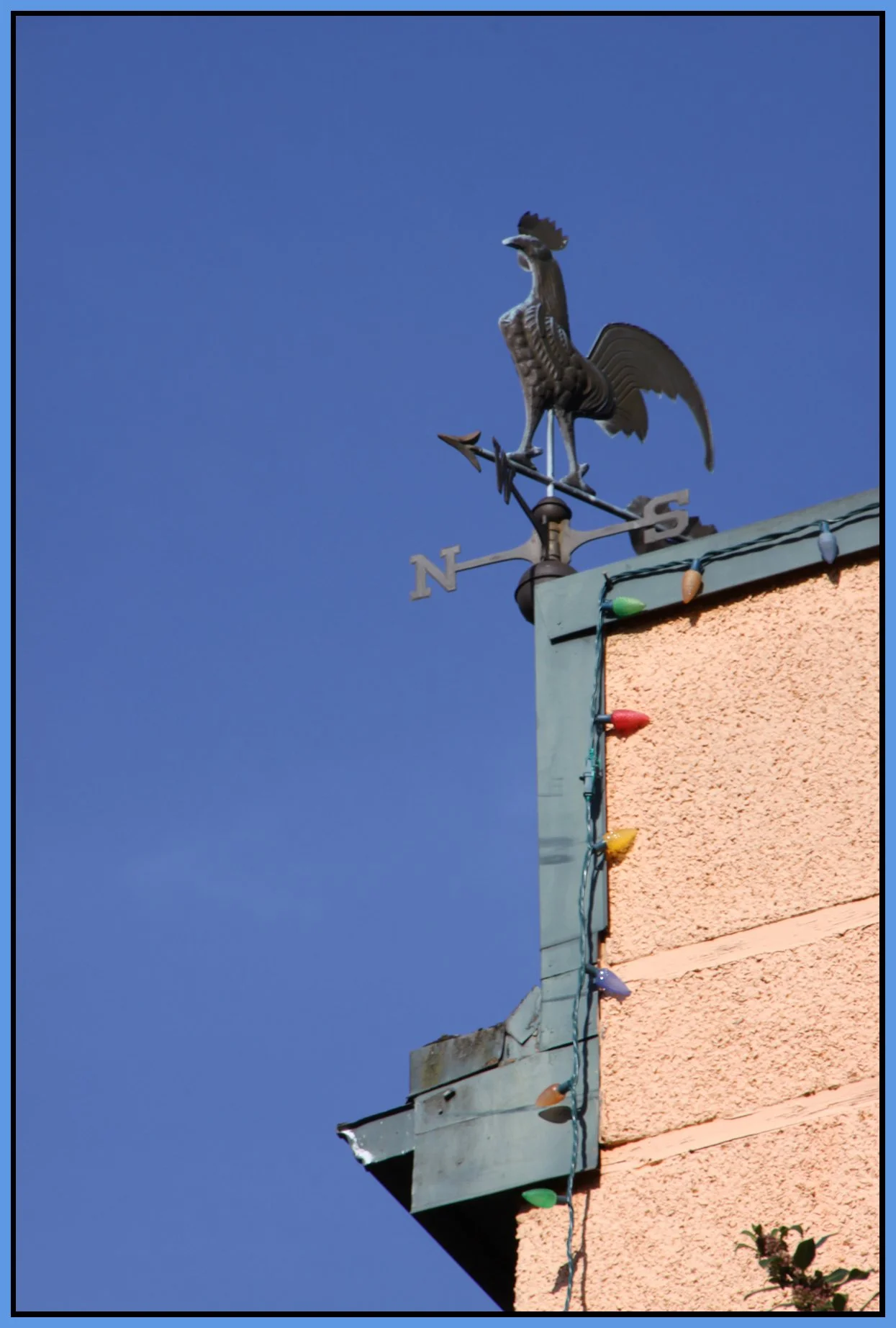 Weather Vane_3894_2_4x6s.jpg