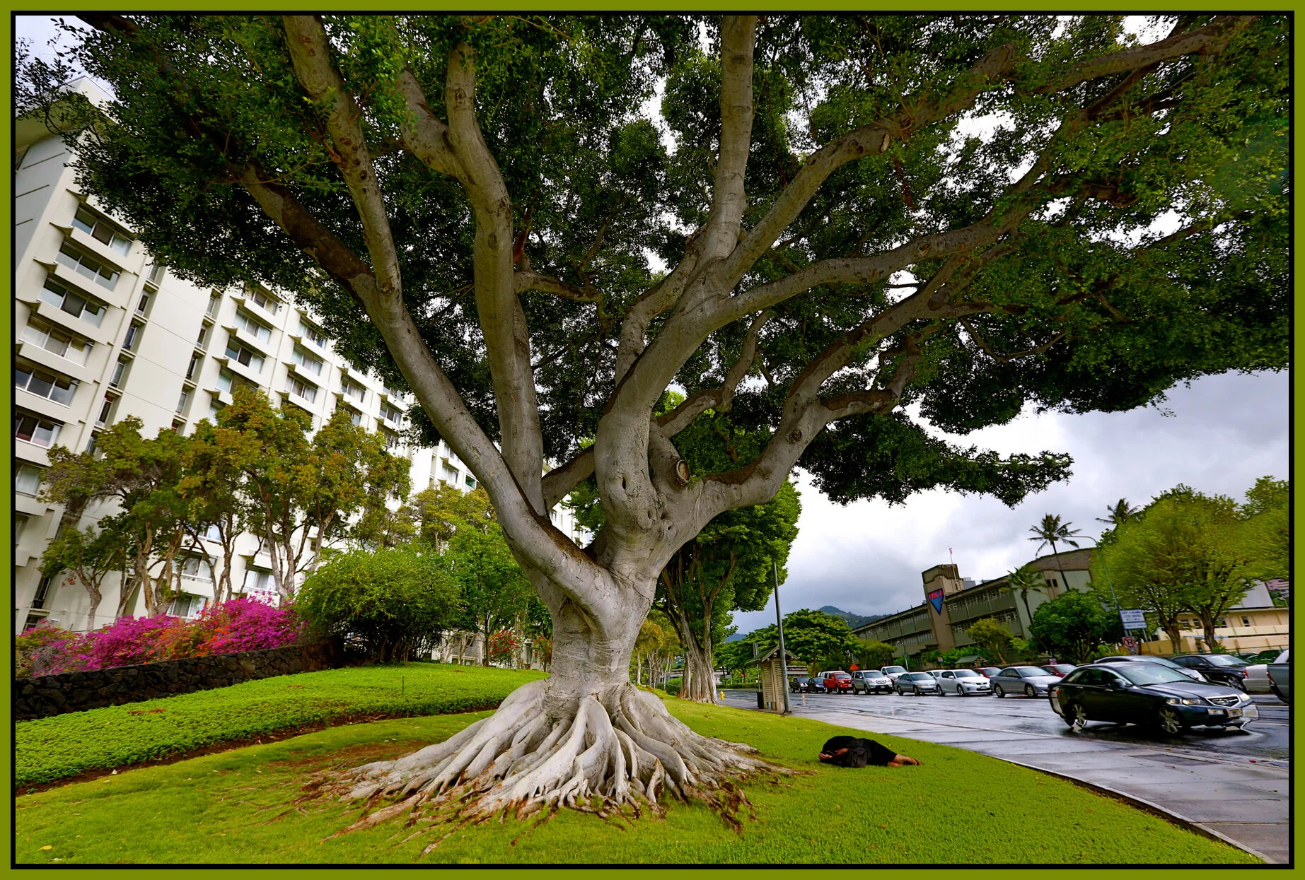 Hawaii_Nov 17 2012_HDR_C9261e_4x6s.jpg