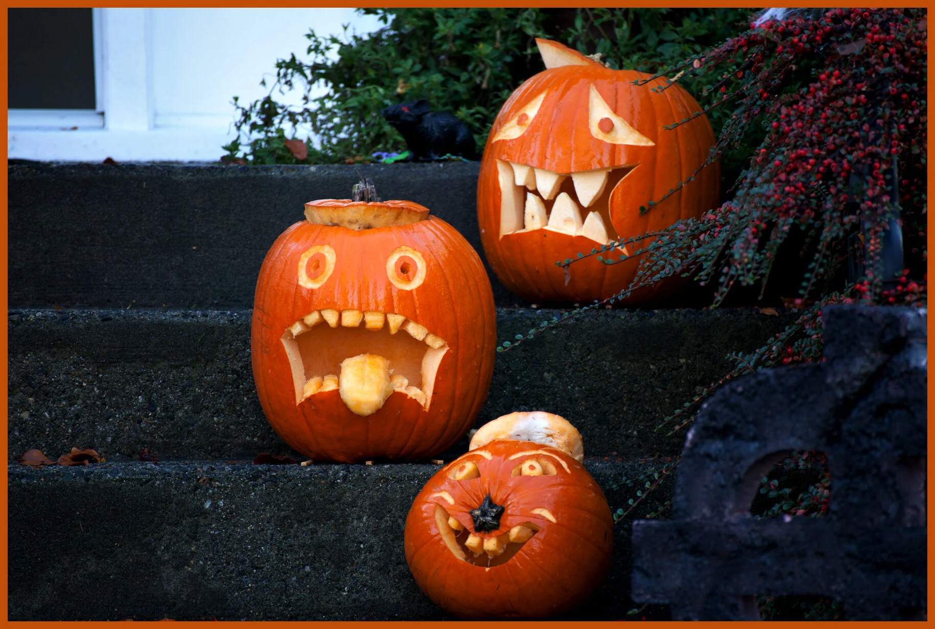 Pumpkins_Nov 3_2013_5660_4x6s.jpg