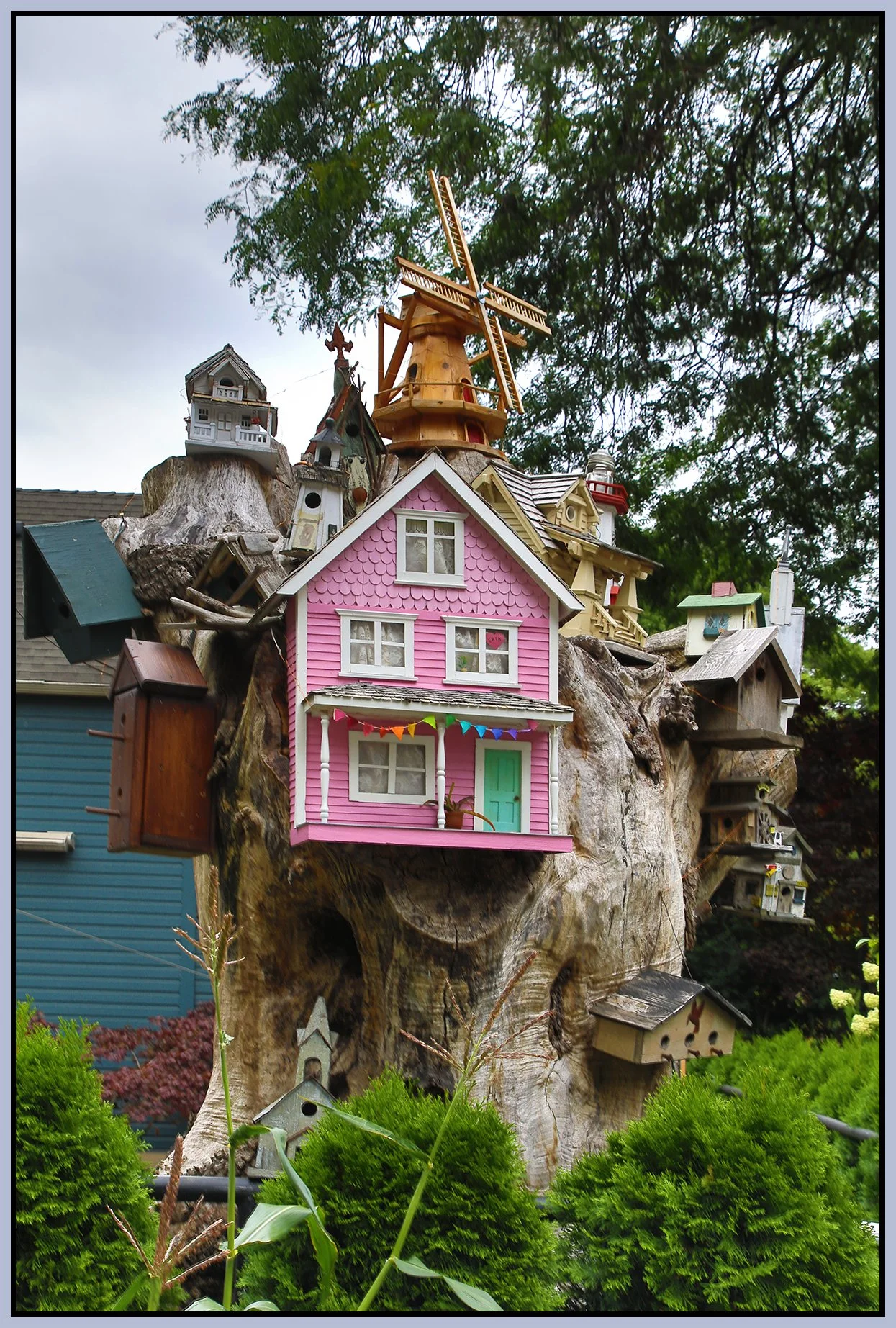 580 Heatley Tree House_Aug 14_2025_HDR_4K1060_4x6s.jpg