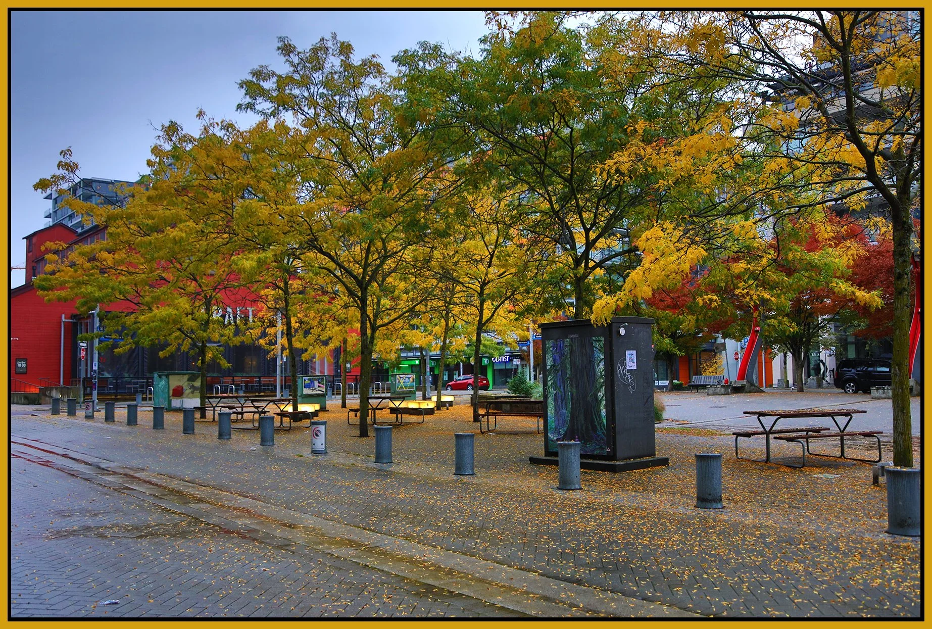 The Village Trees_Oct 14_2024_HDR_4J4320_4x6s.jpg