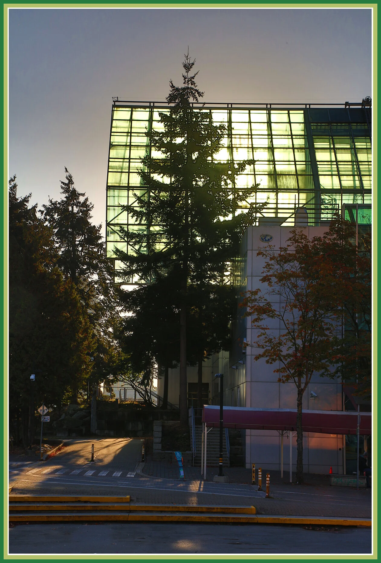 Plaza of Nations Tree_Sep 18_2018_HDR_A7416_4x6s.jpg