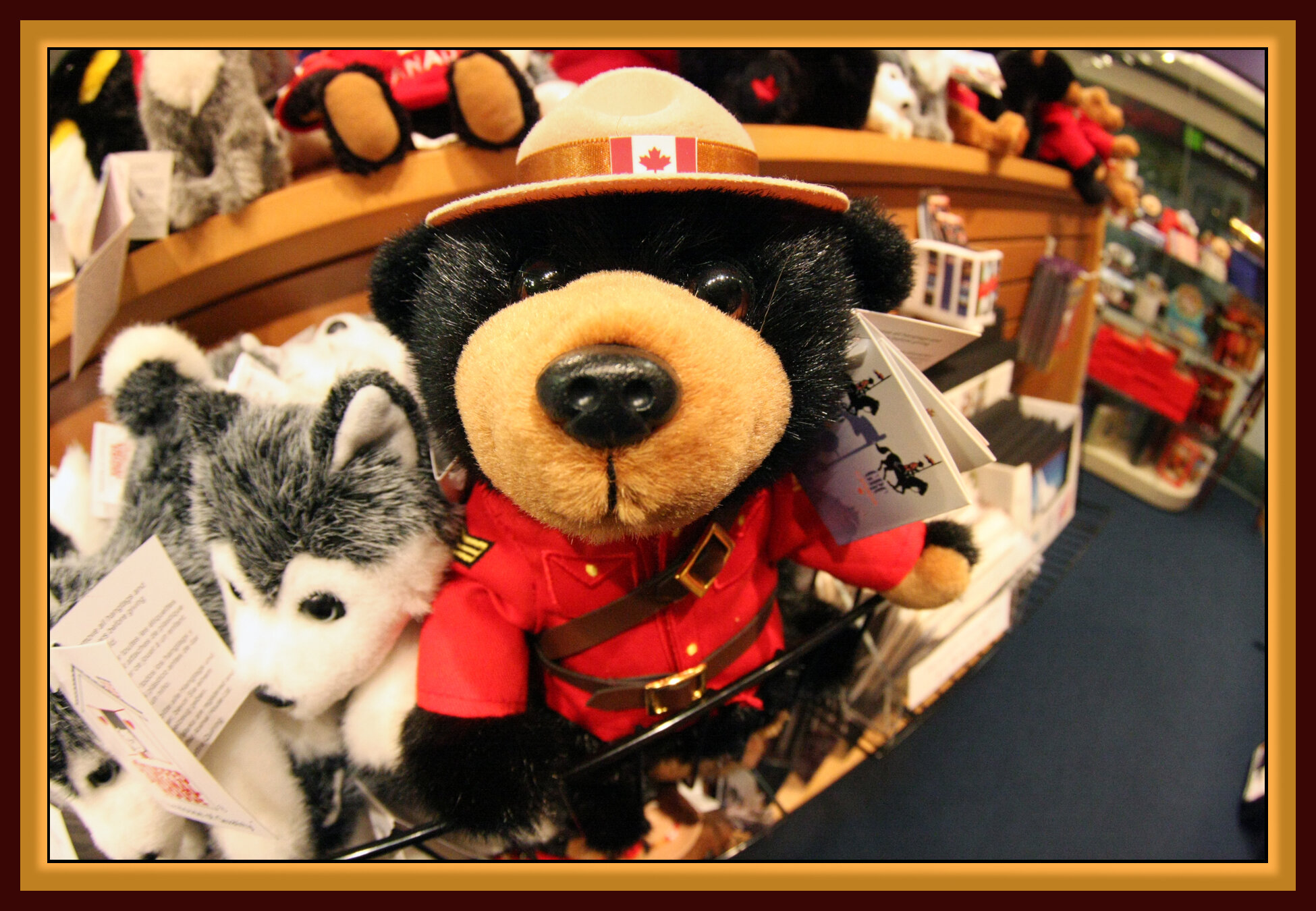 Gastown Bear_0514_4x6s.jpg