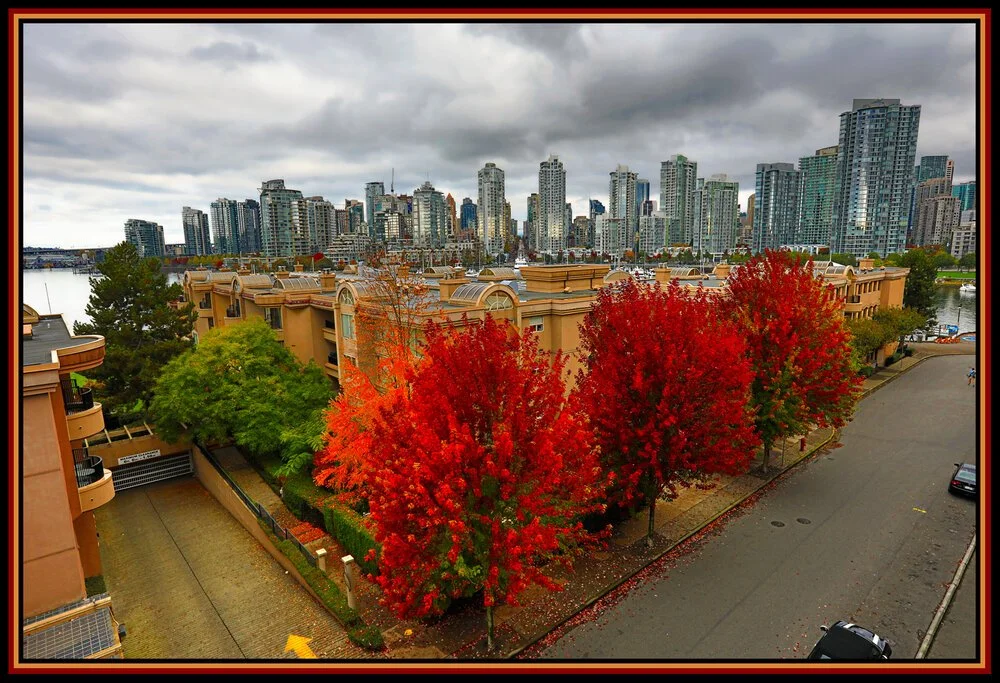 Cambie+Bg+LkgNW+Trees_Oct+9_2016_HDR_A1782_peImpact_4x6s.jpg