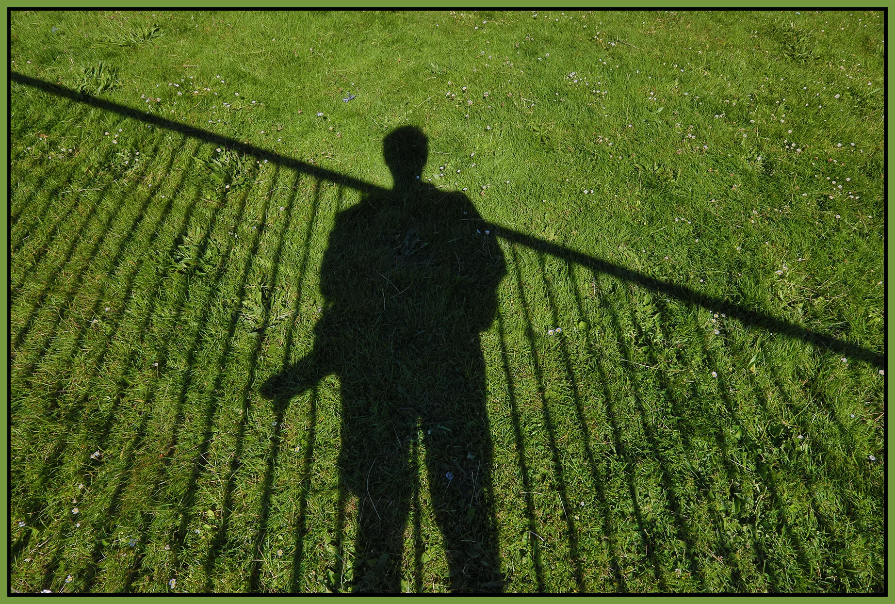 VDD Shadow_Jun 20_2021_HDR_5A9511_4x6s.jpg