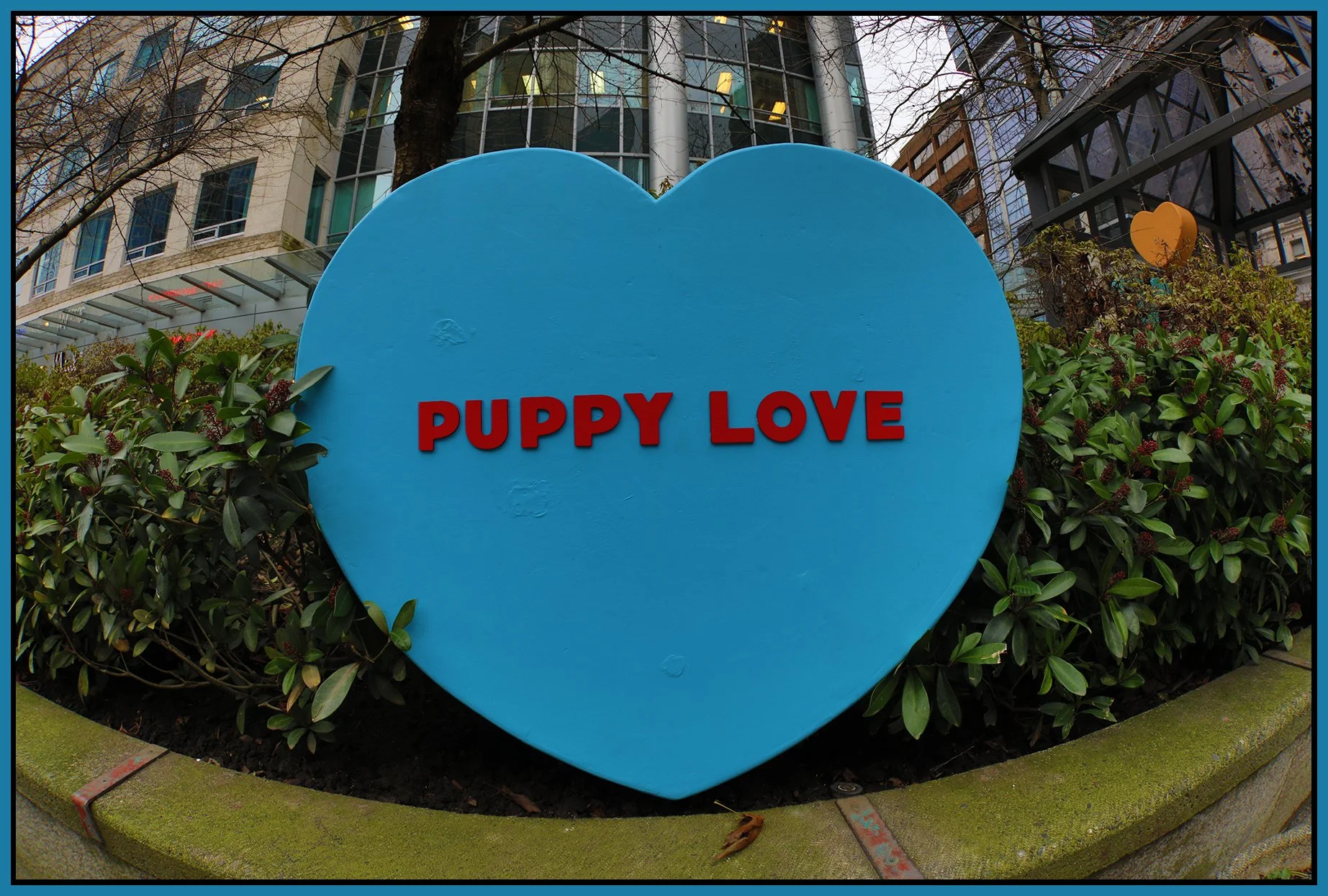 Puppy Love Sign_Feb 8_2022_HDR_5A8500_4x6s.jpg